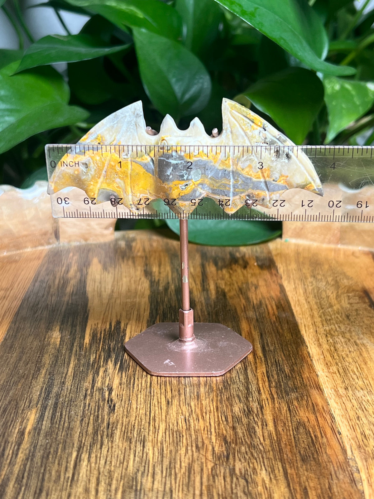 Bumblebee Jasper Bat: BX