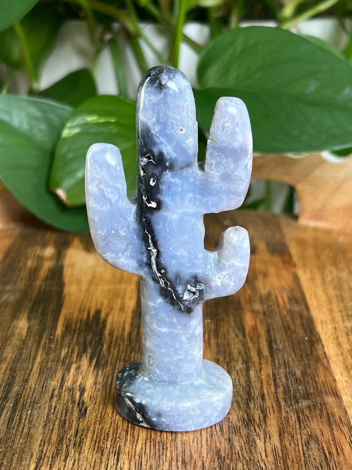 Blue Plume Agate Cactus: CA