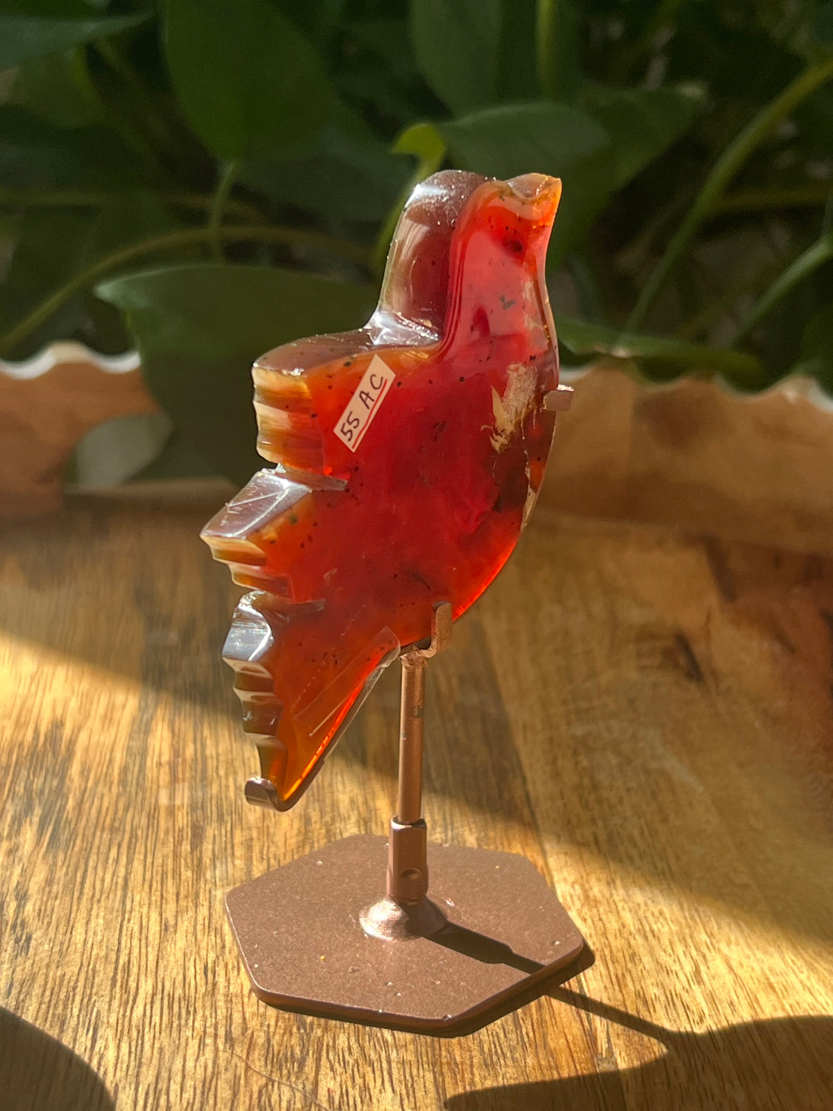 Blue Amber Bird: AC