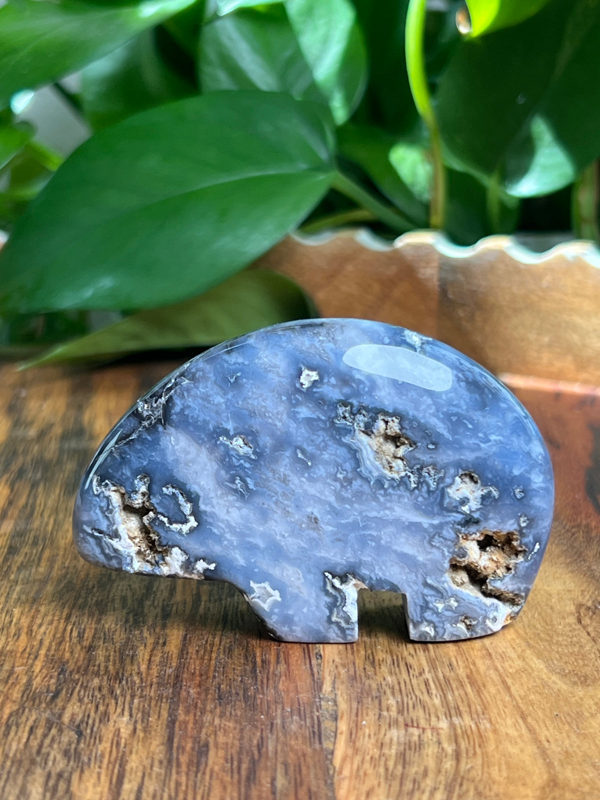 Blue Plume Agate Bear: DA