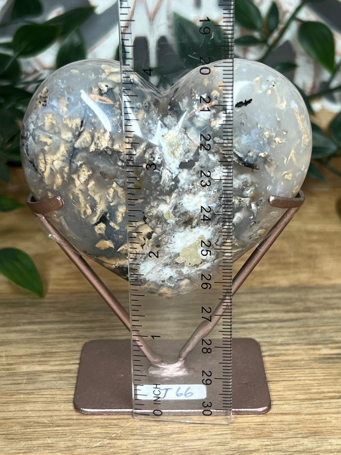 Dendritic Tiger Agate Heart