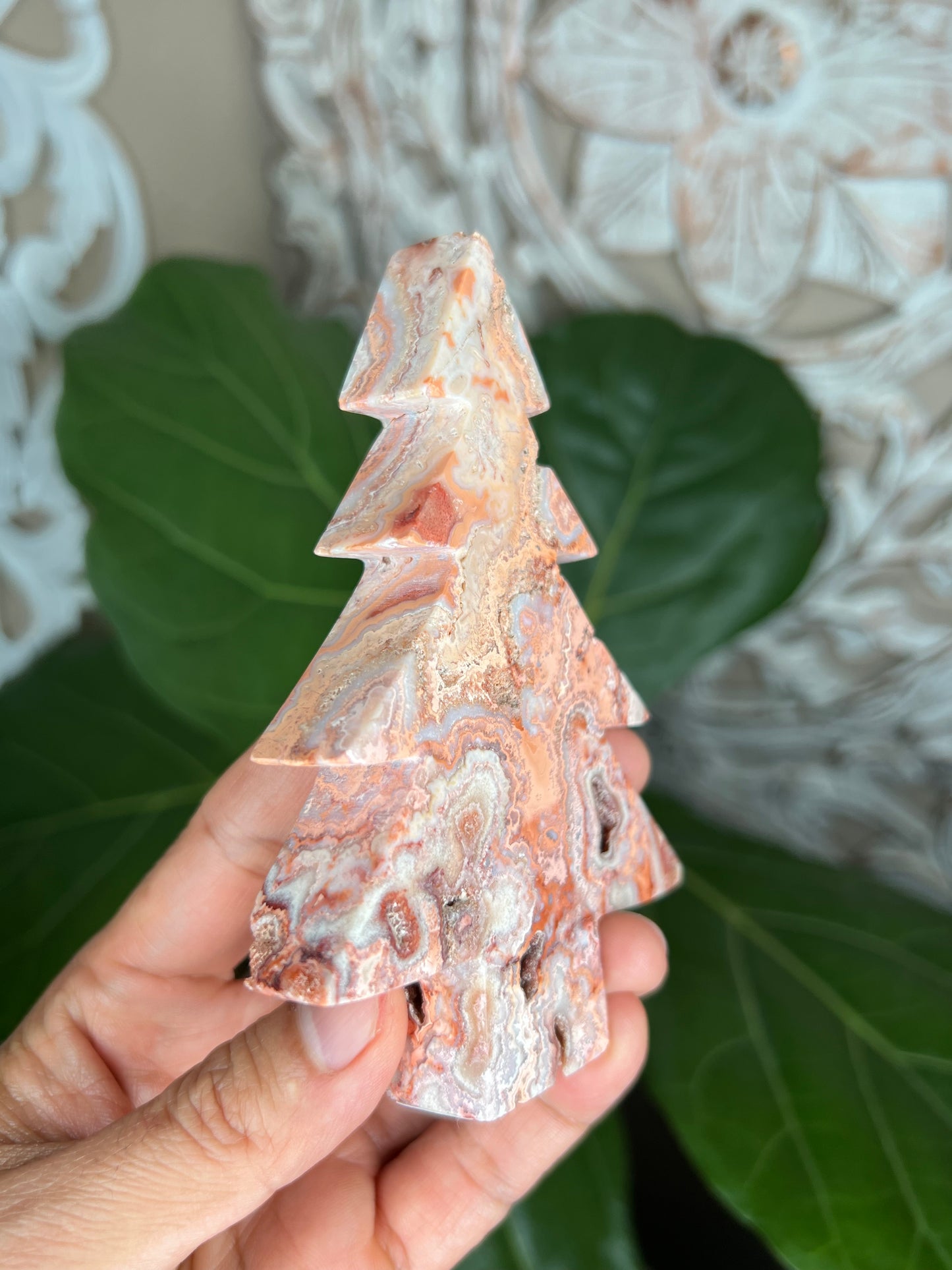 Crazy Lace Agate Tree