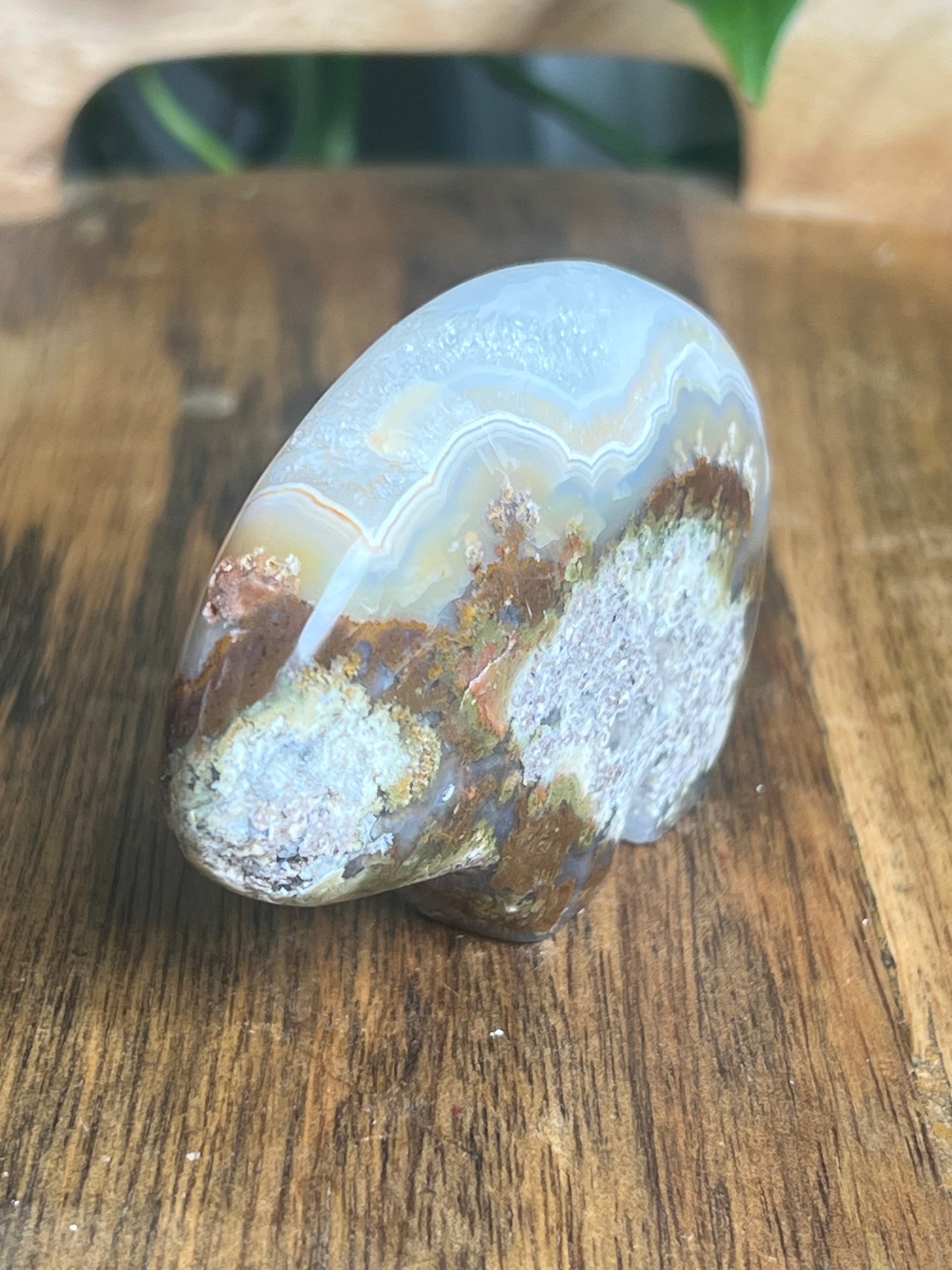 Scenic Moss Agate Bear NS