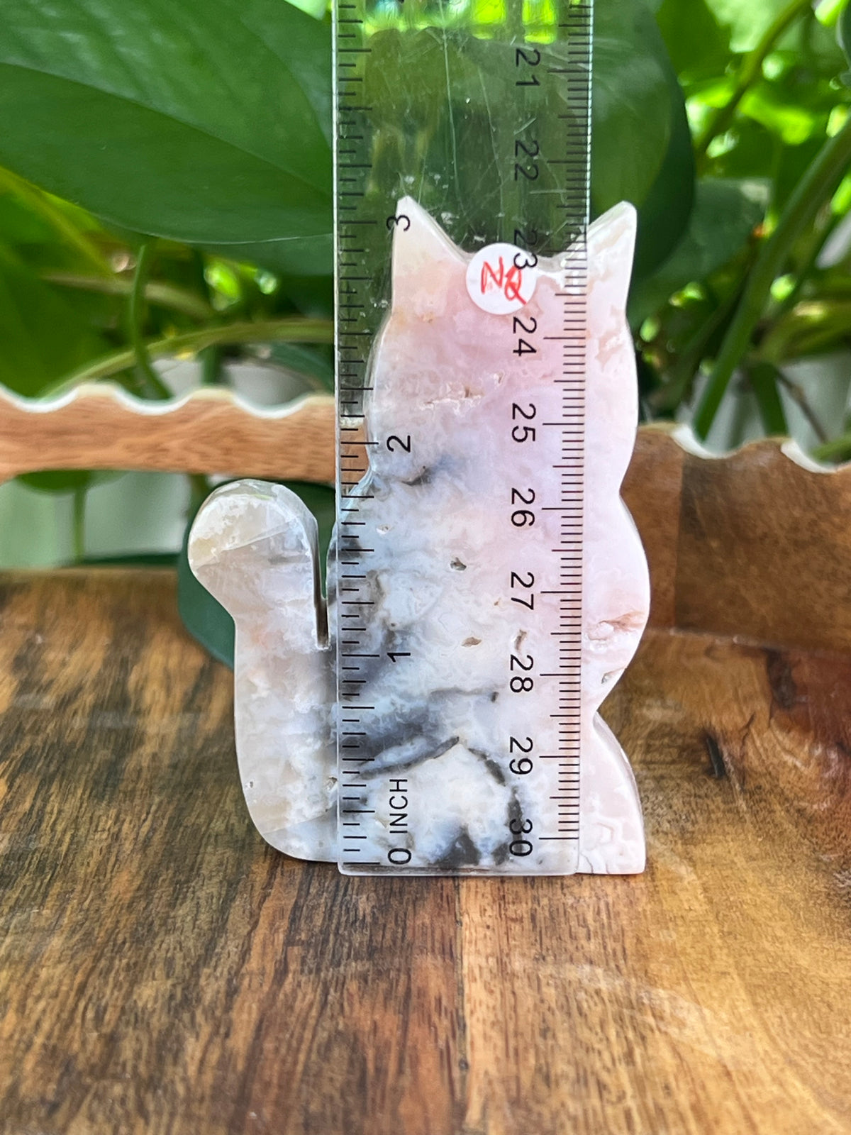 Rainbow Plume Agate Cats