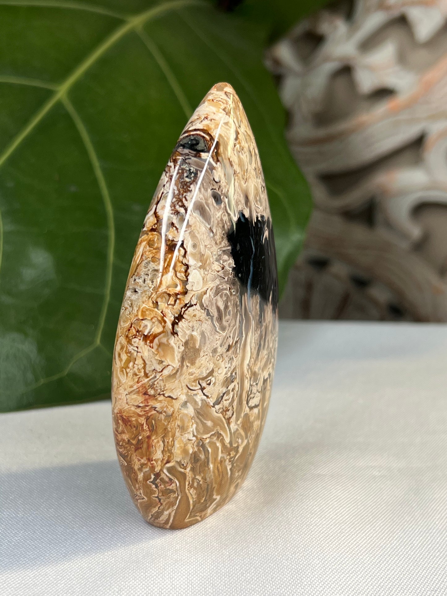 Palm Root Flame