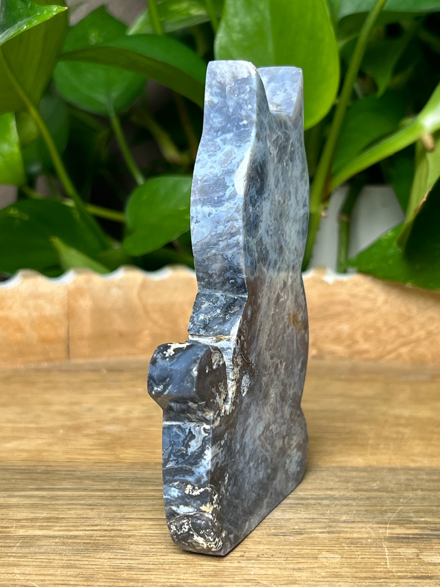 Blue Plume Agate Cat