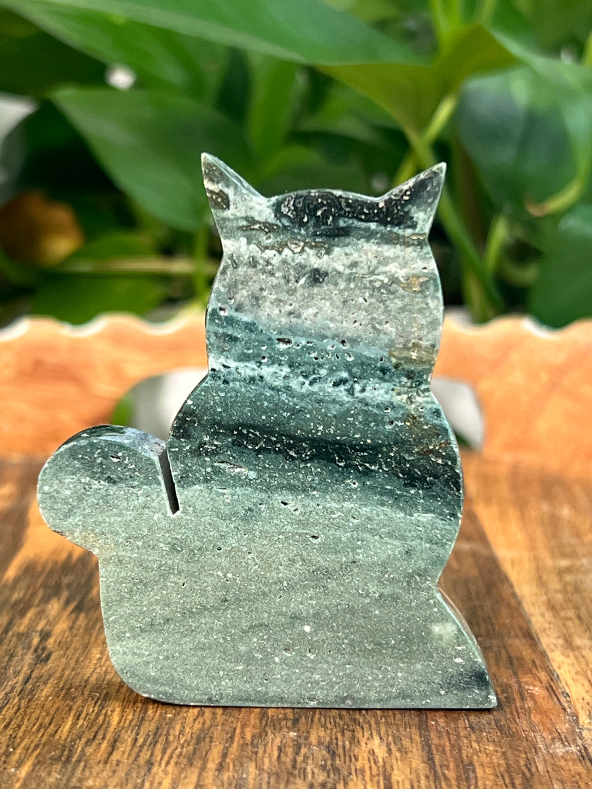 Blue Green Jasper Cats