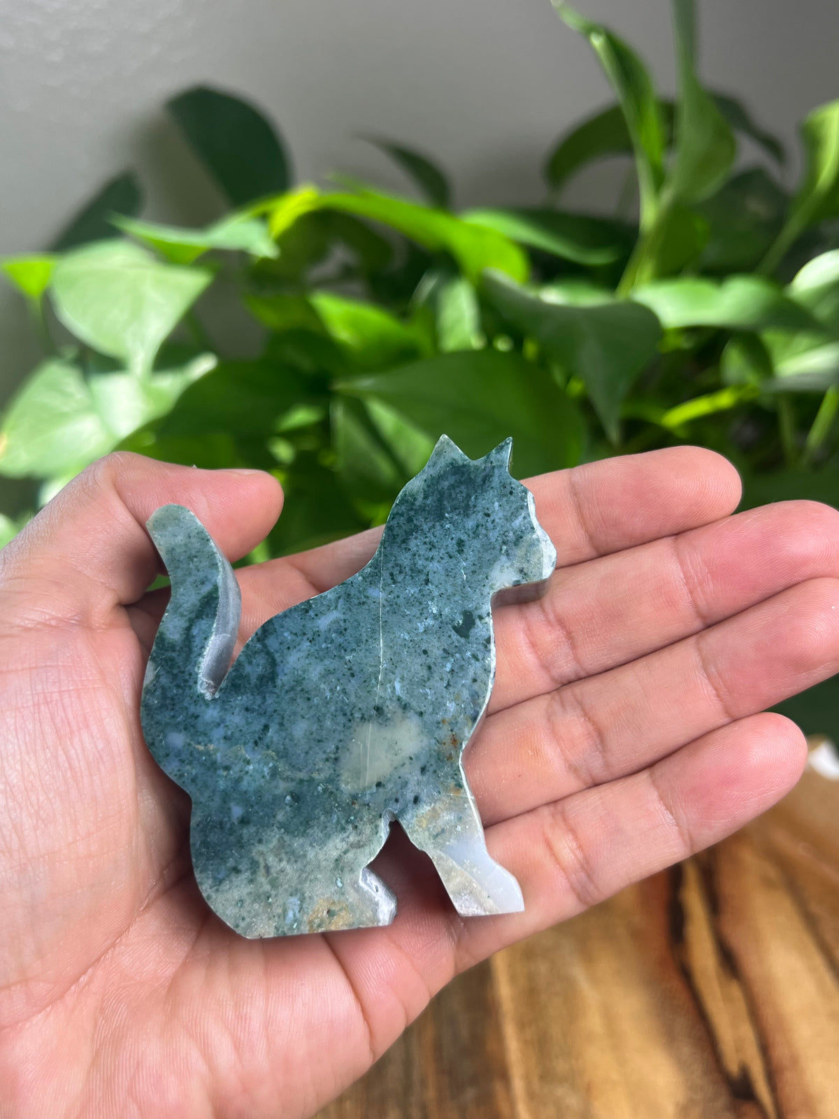 Blue Green Jasper Cat: CQ