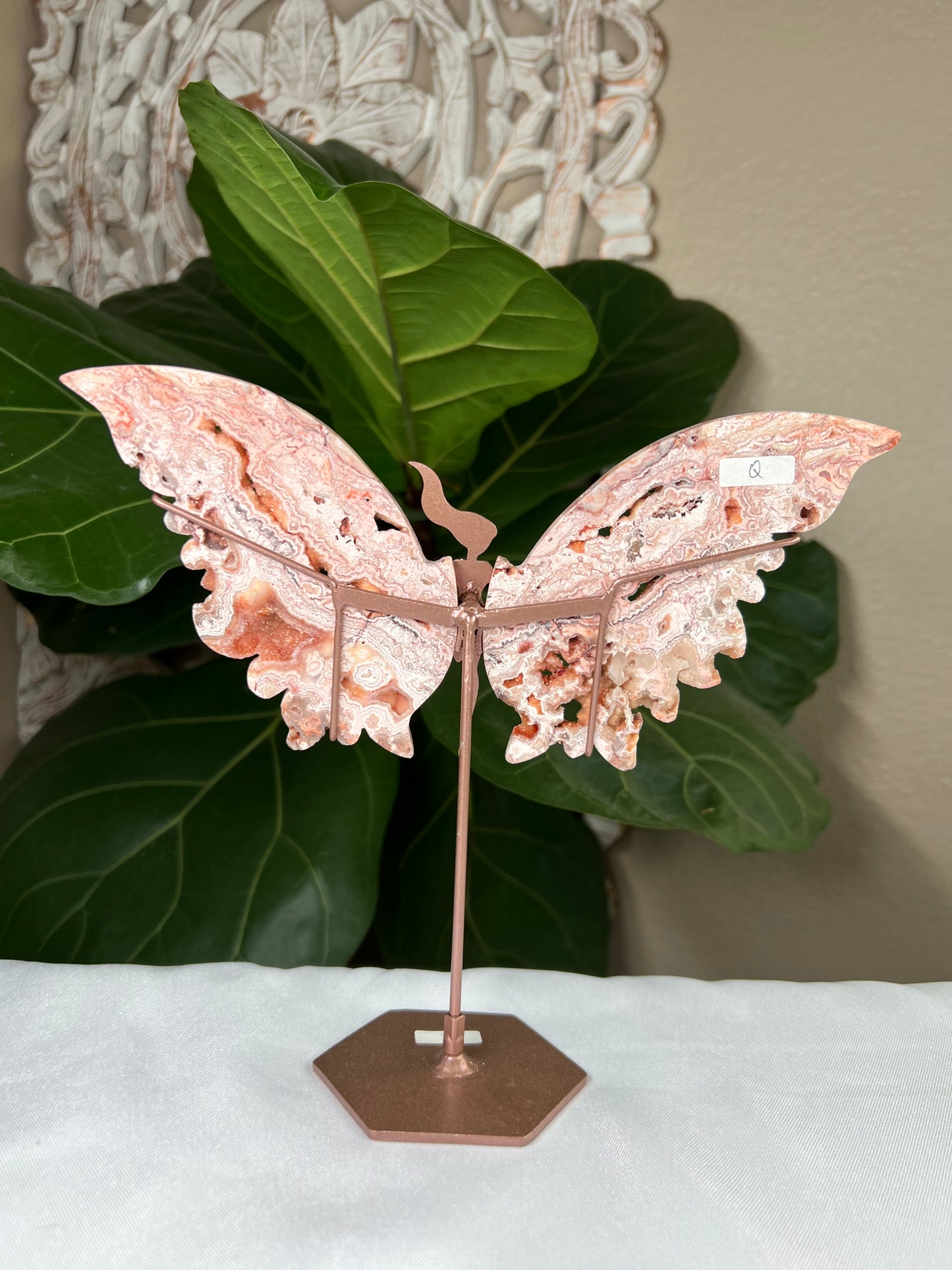 Crazy Lace Agate Wings