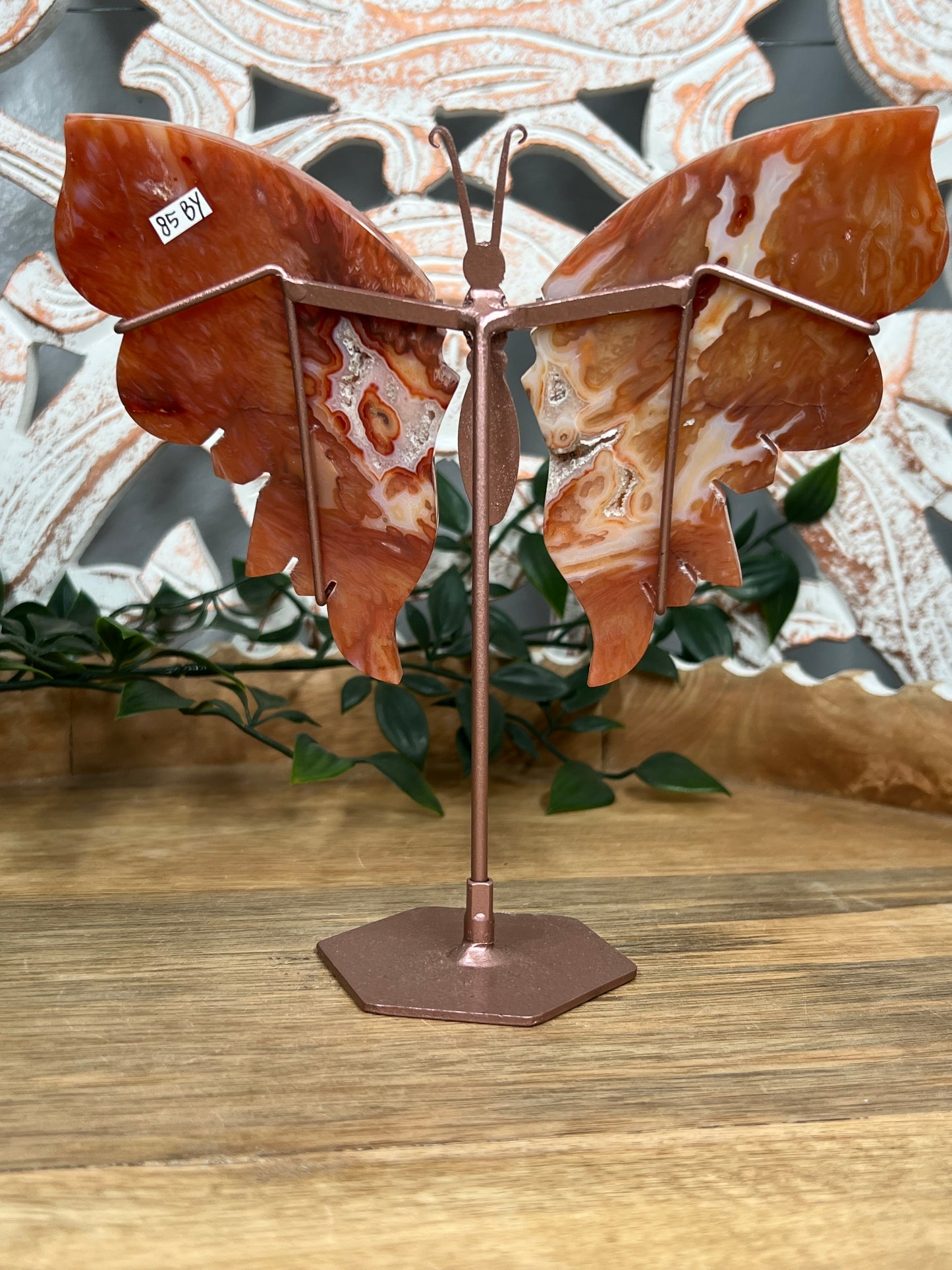 Carnelian Wings