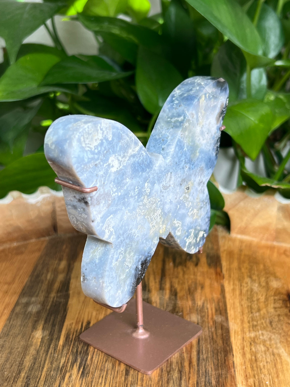 Blue Plume Agate Butterfly: Di