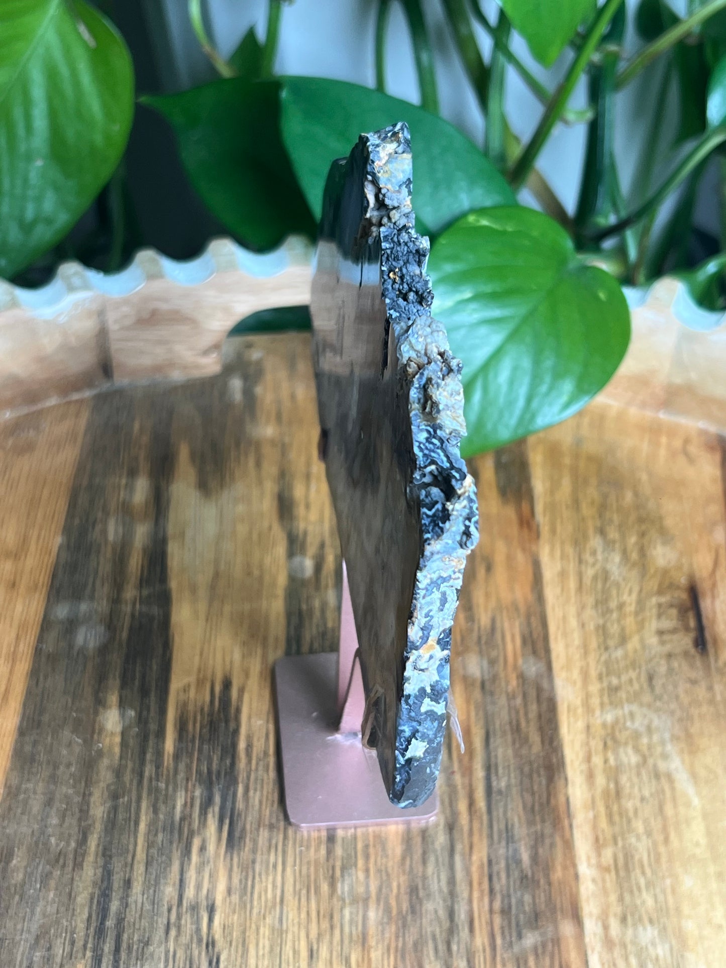 Blue Plume Agate Slab: AK