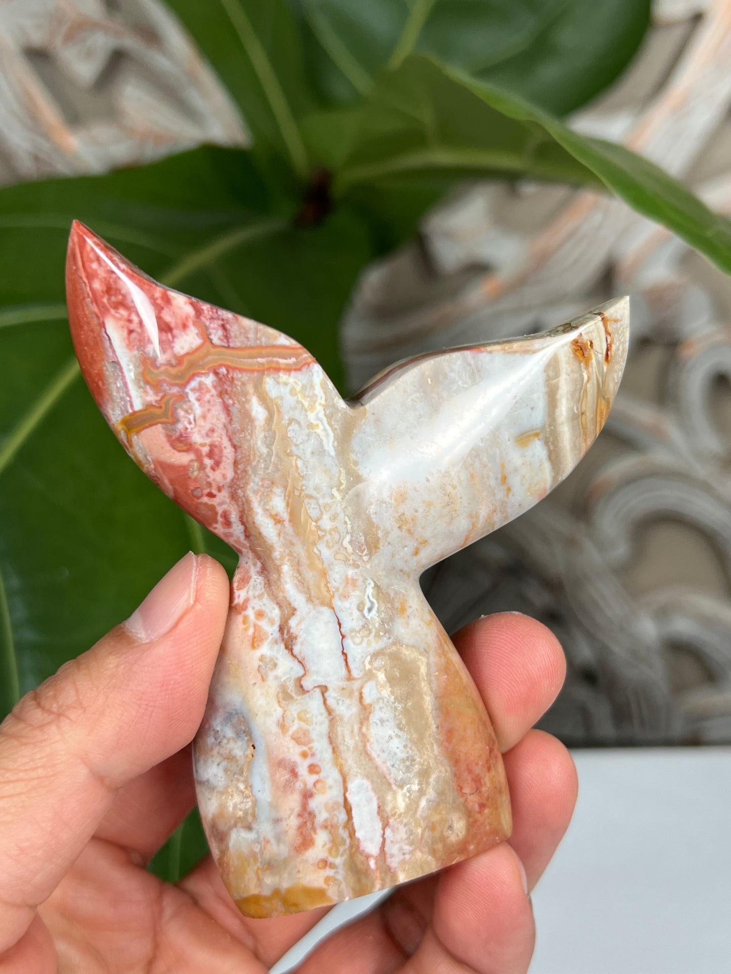 Milky Jasper Tail