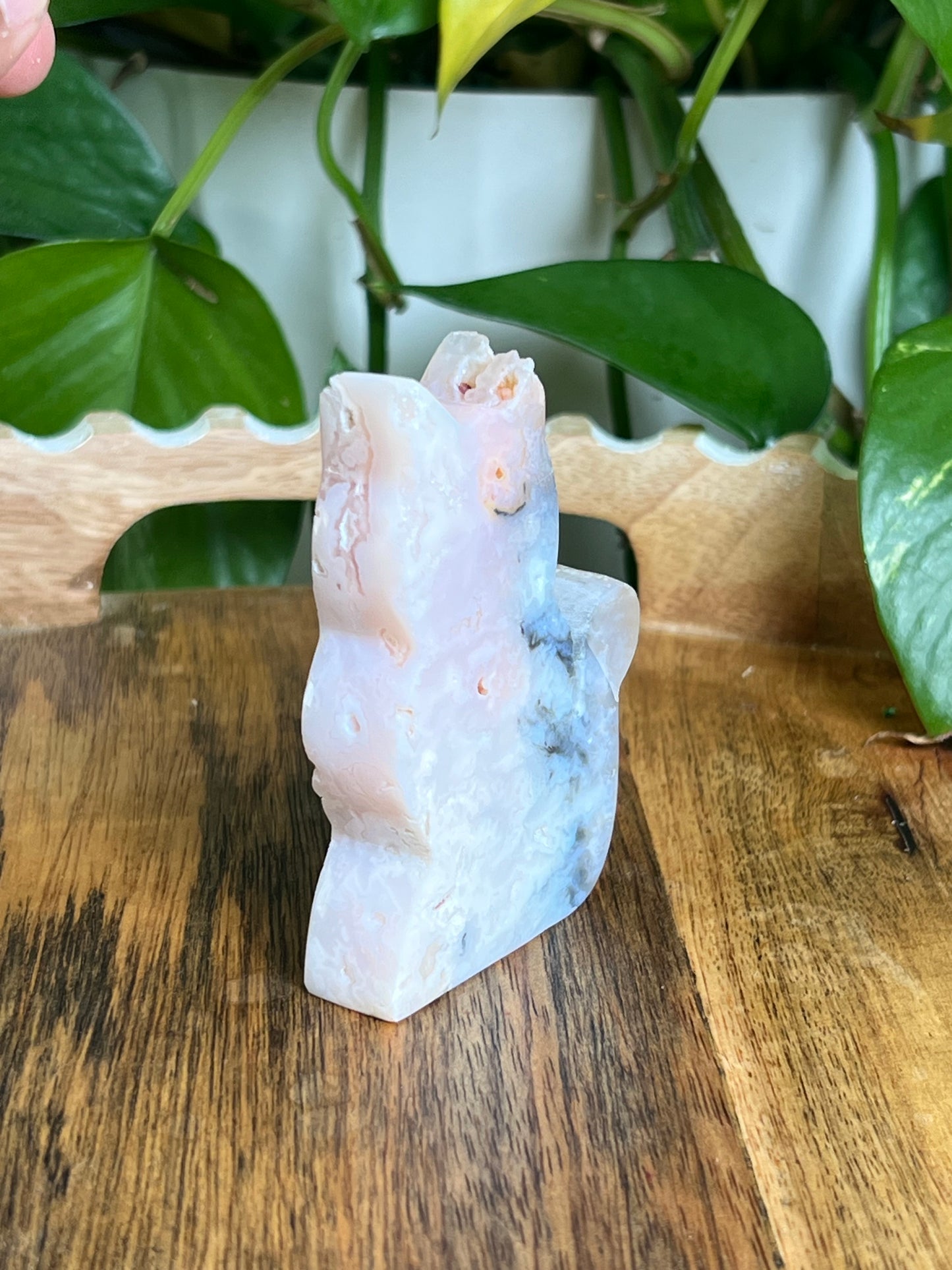 Rainbow Plume Agate Cat NQ