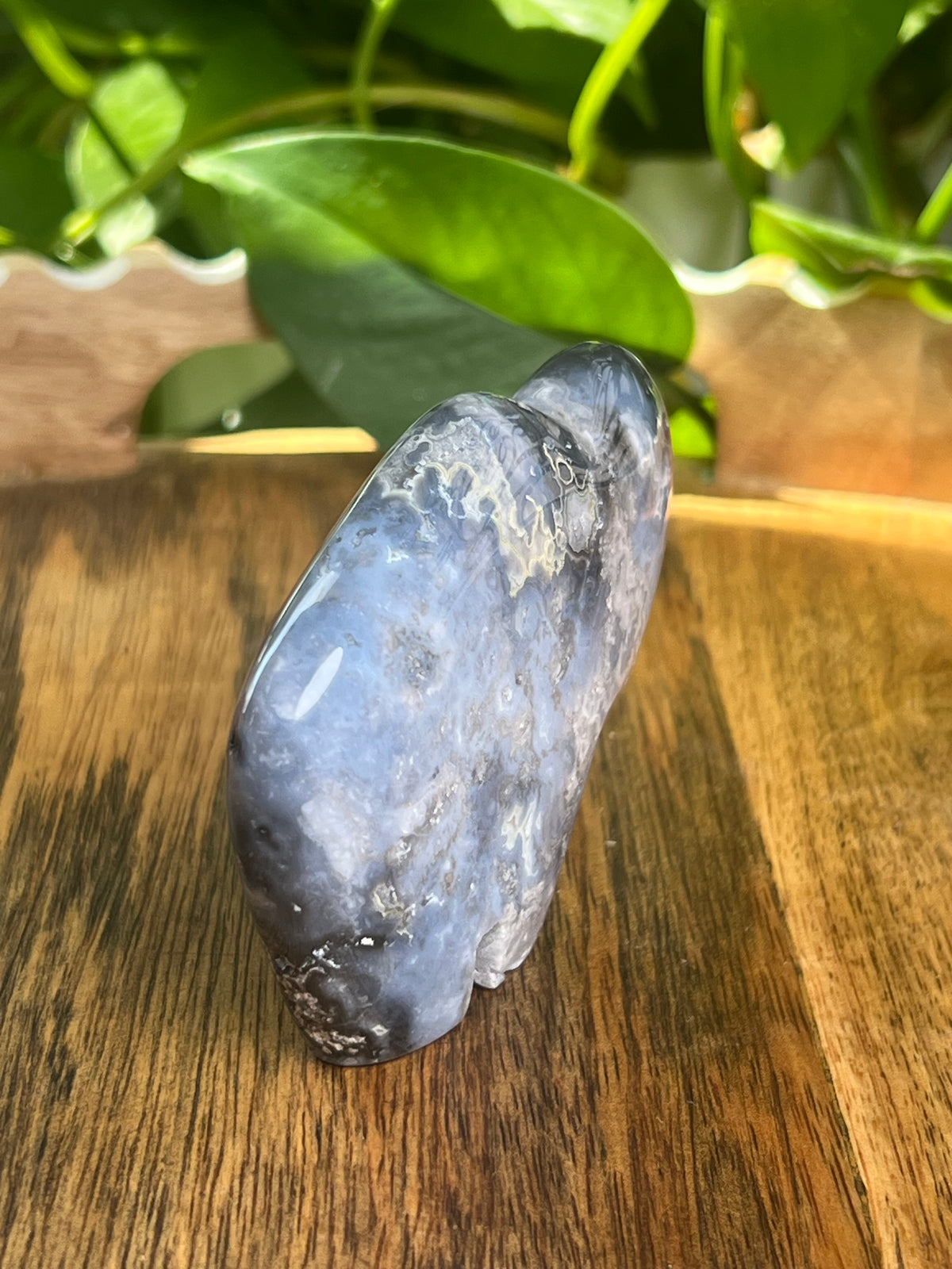 Blue Plume Agate Buffalo: BF