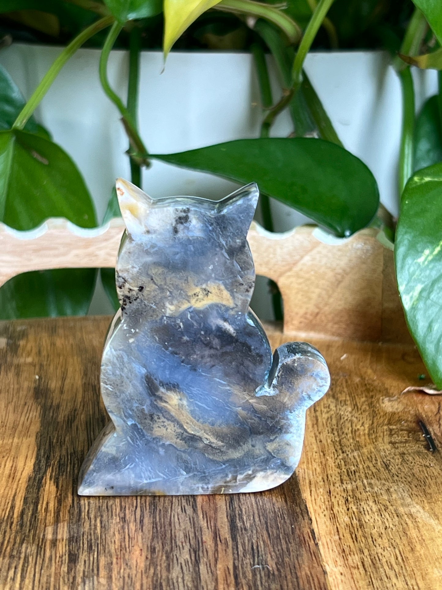 Dendritic Tiger Agate Cat AT