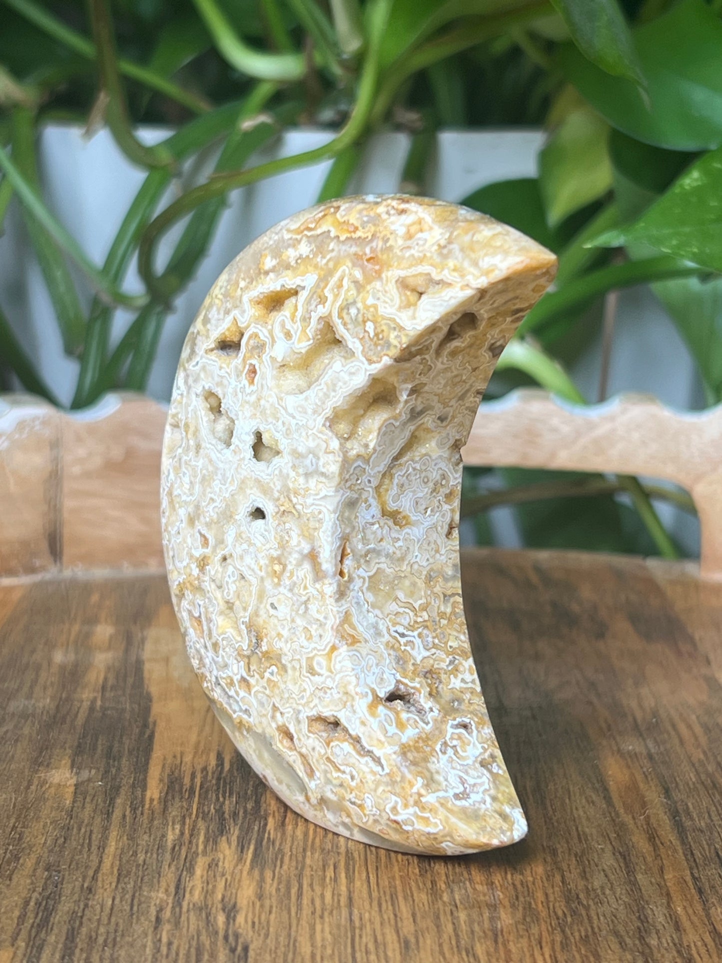 Yellow Crazy Lace Agate Moon