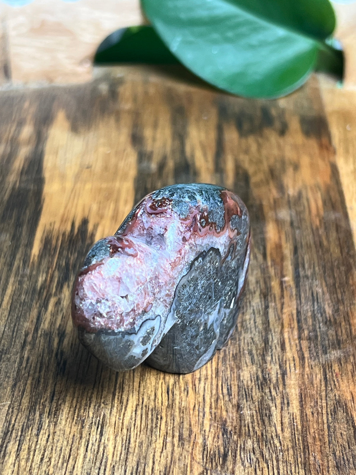 Marcasite Mini Buffalo: MN