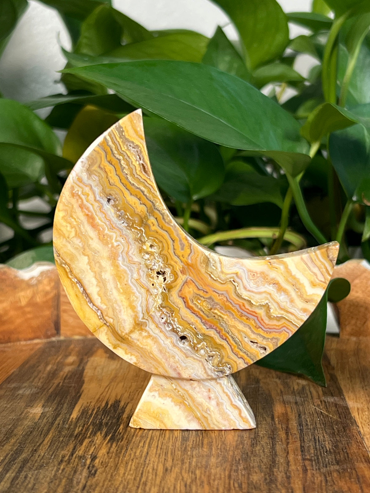 Yellow Crazy Lace Agate Self Standing Moons