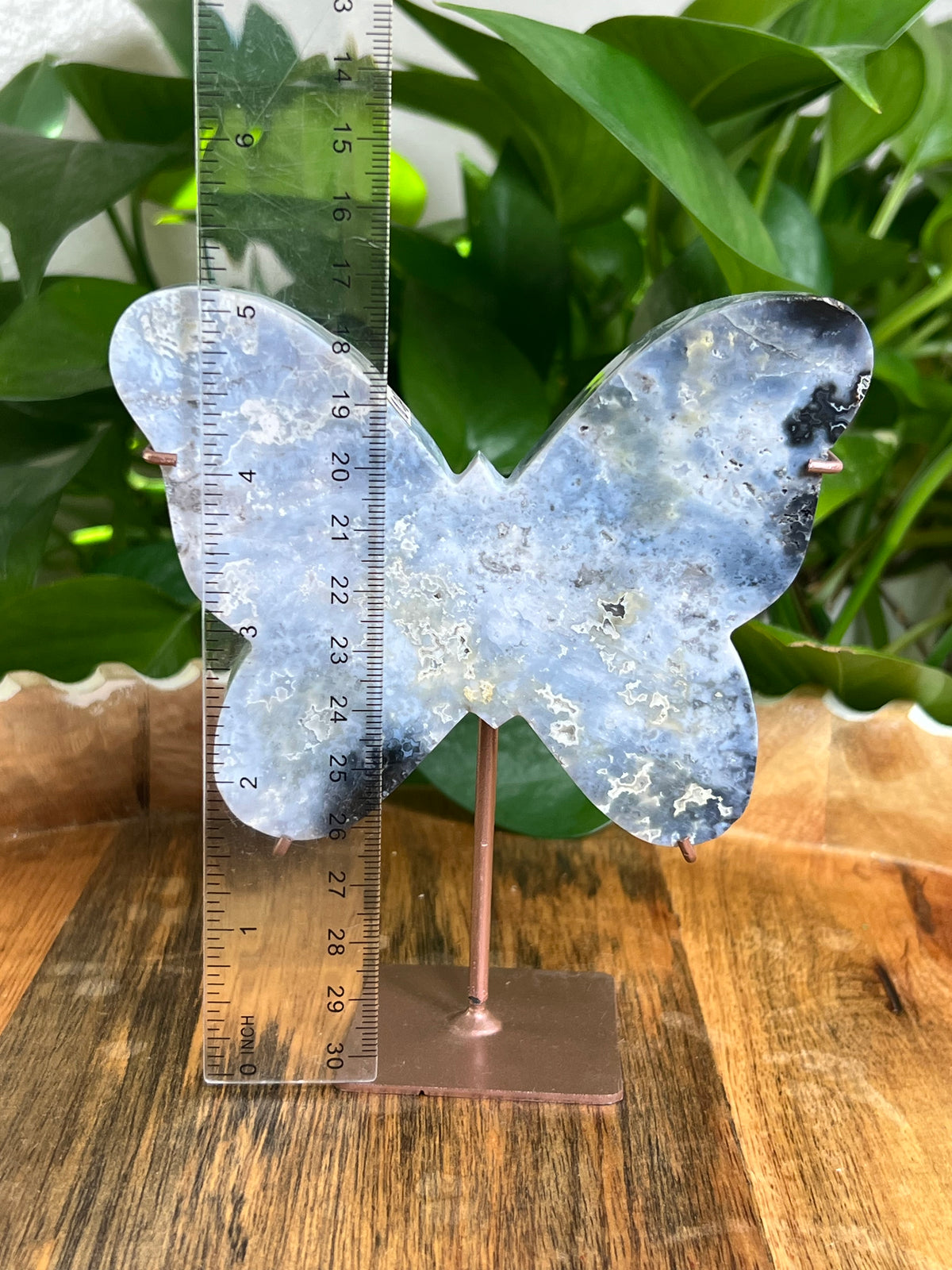 Blue Plume Agate Butterfly: Di