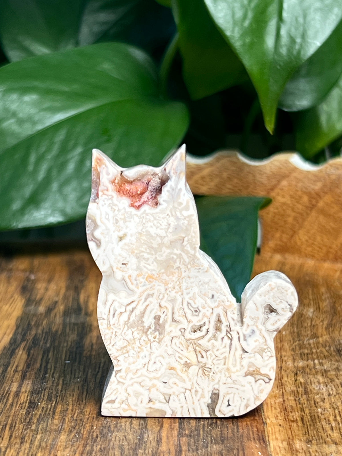 Tube Agate Mini Cats