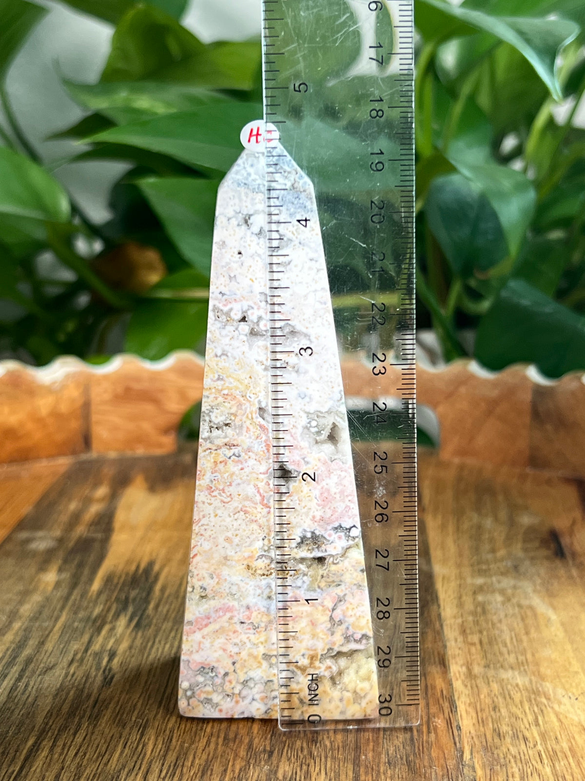 Sea Jasper Tower: HC