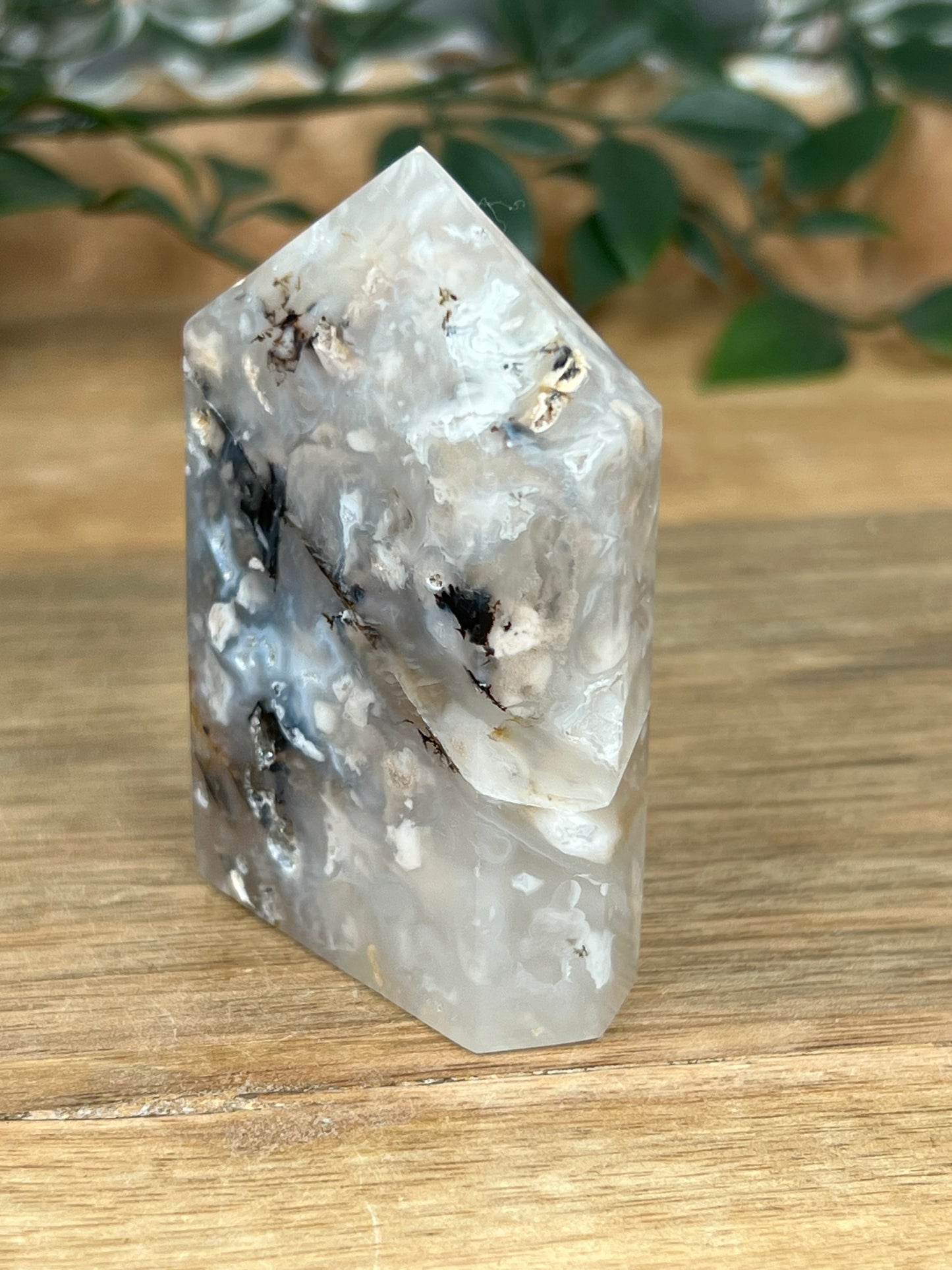 Dendritic Tiger Agate Tower