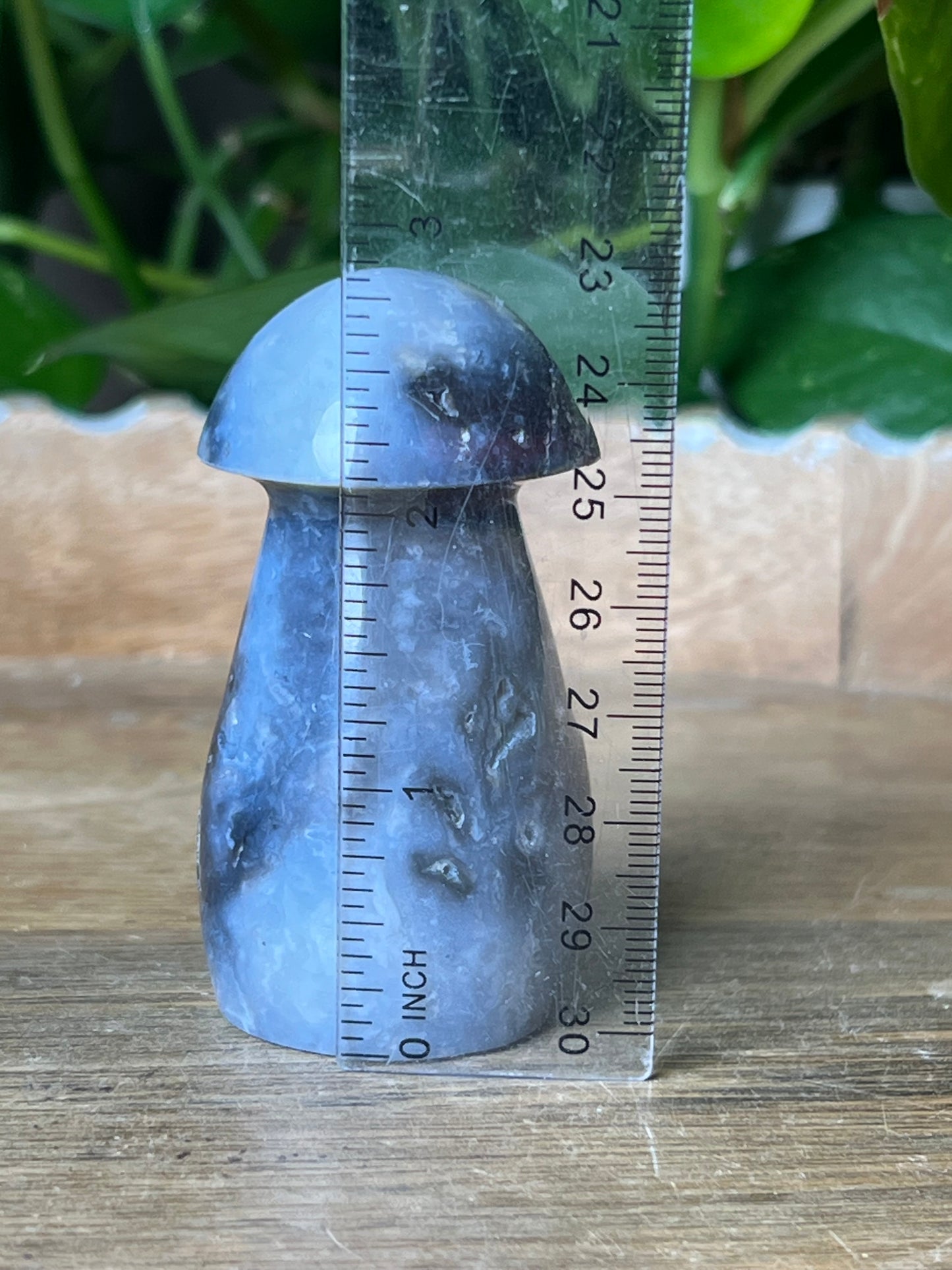 Blue Plume Agate Mushroom: ZE