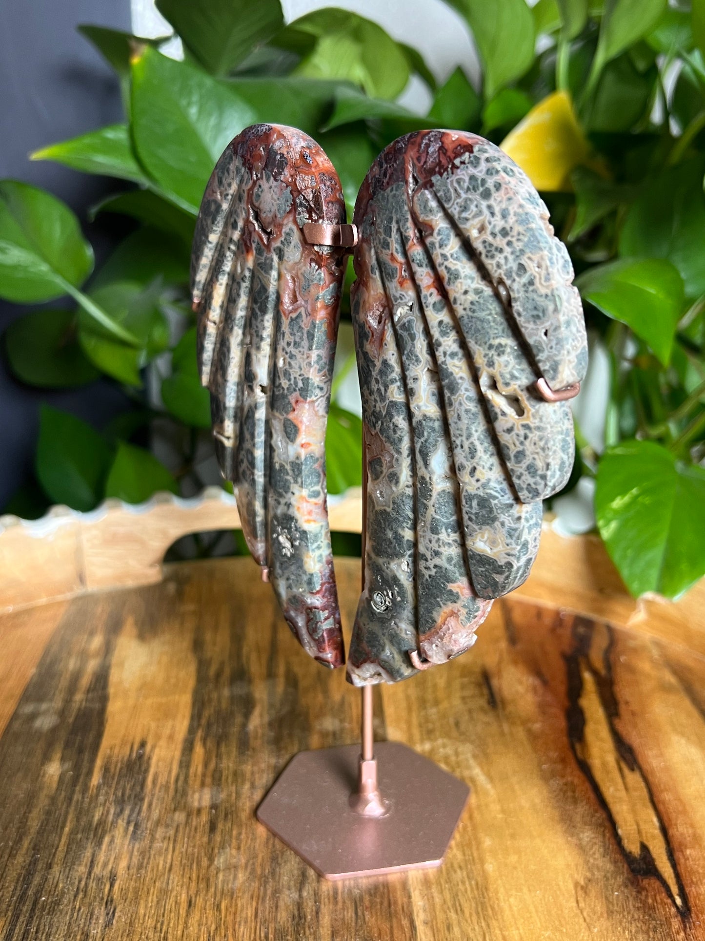 Marcasite Wings