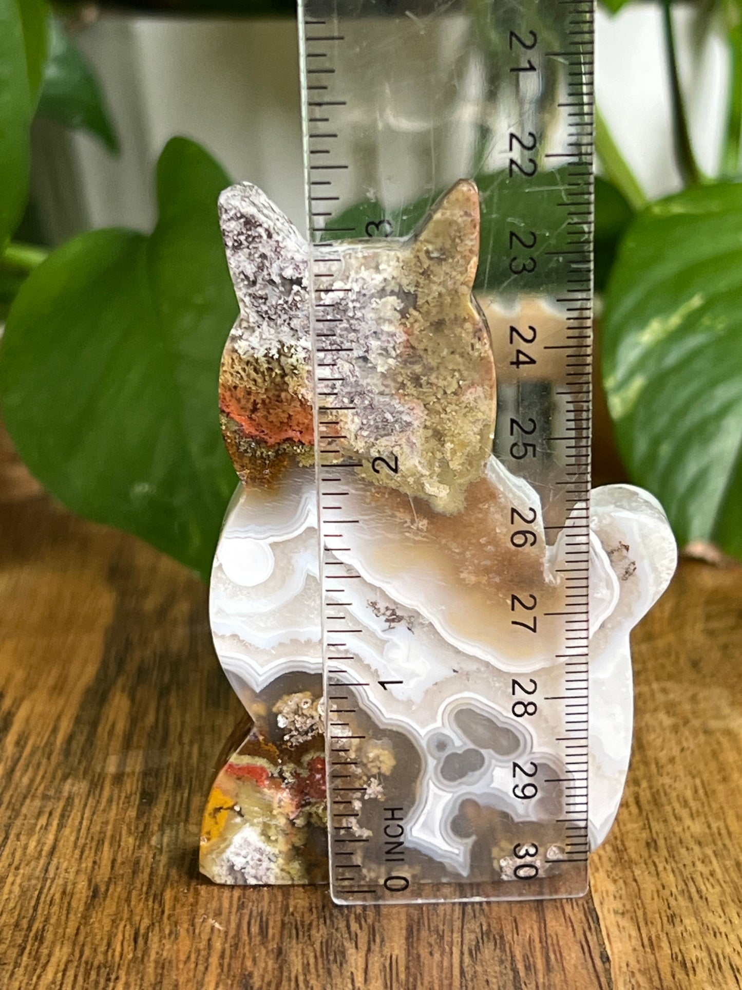 Scenic Moss Agate Cat HA