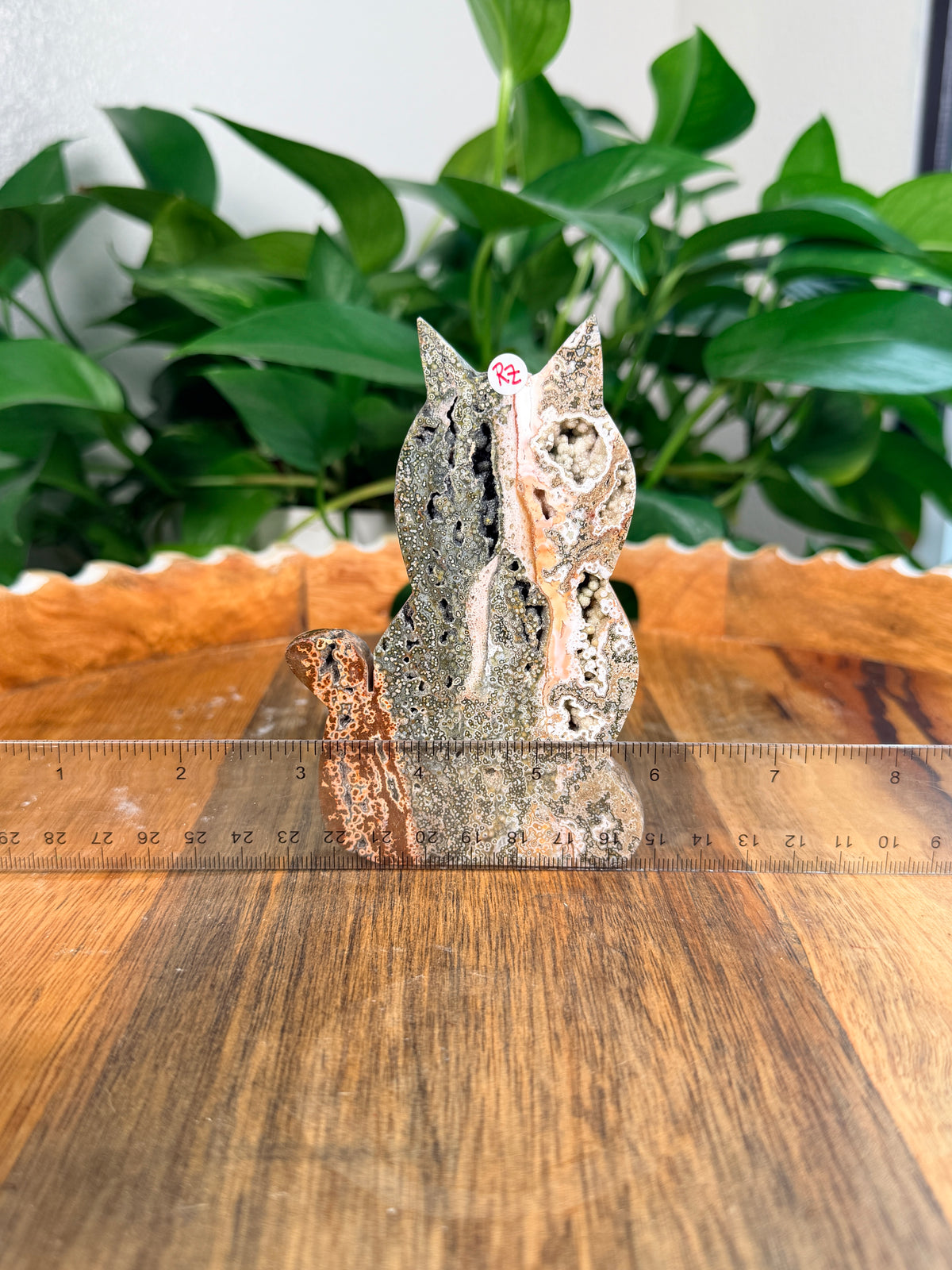 Sea Jasper Cats- Large
