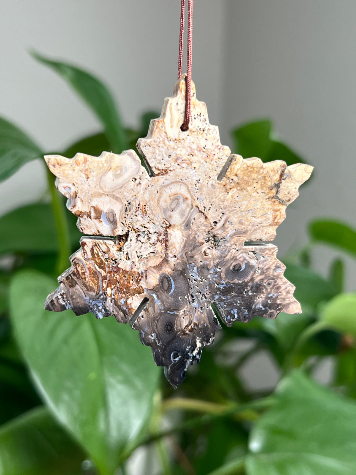 Palm Root Ornament Snowflake: PB