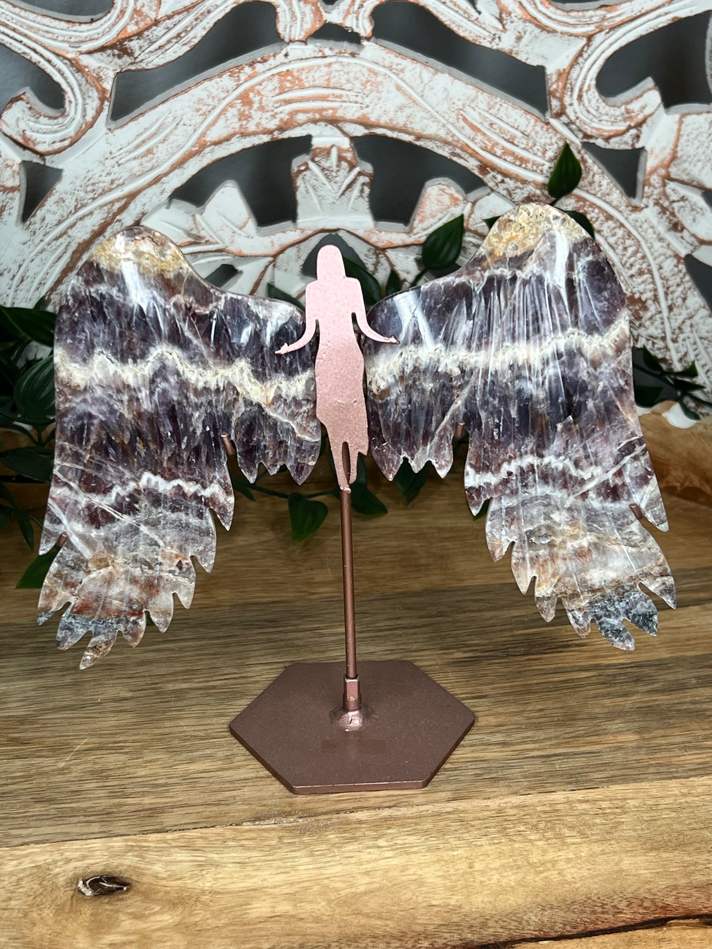 Indonesian Amethyst Wings