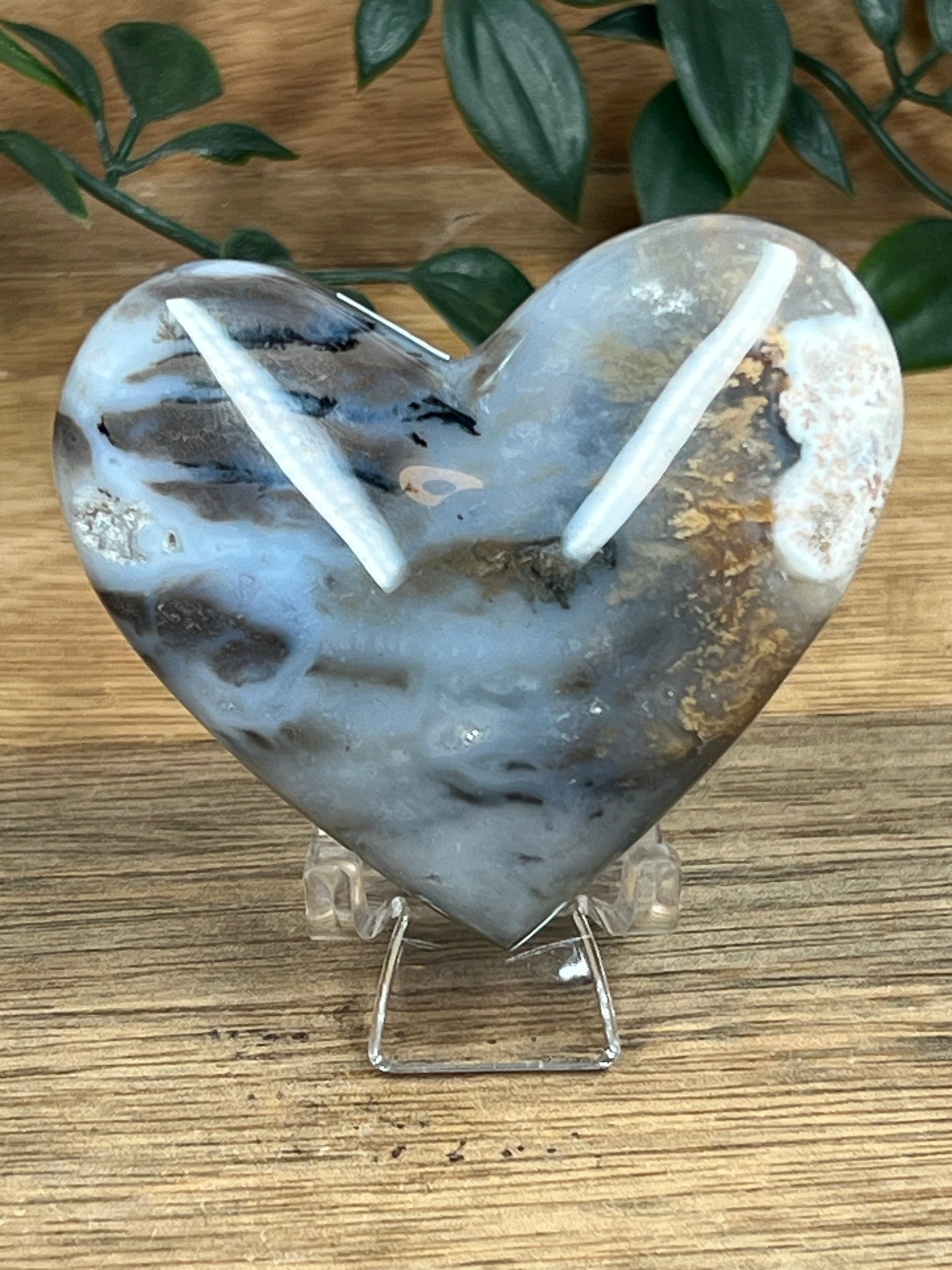 Dendritic Tiger Agate Heart