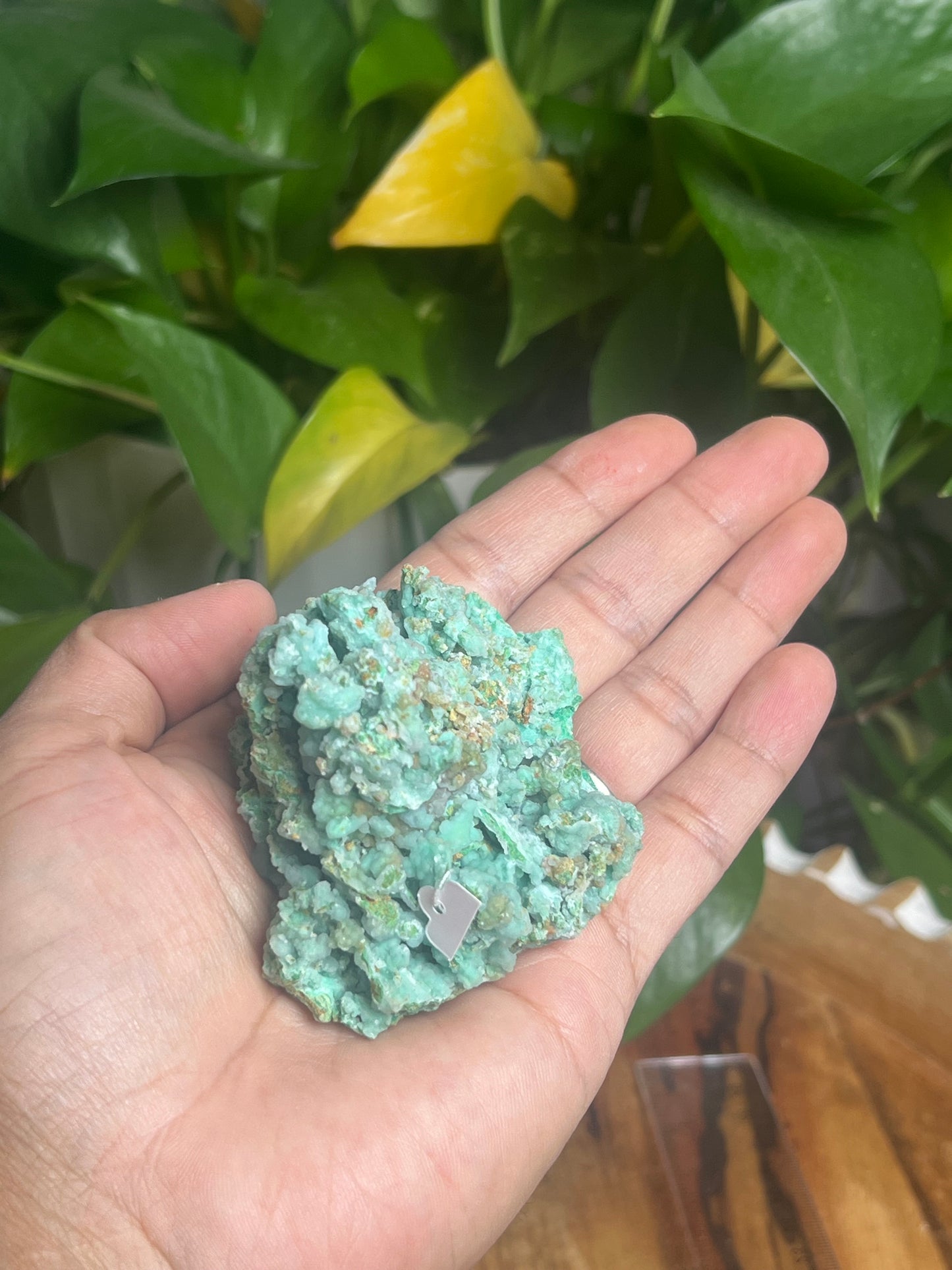 Smithsonite Specimen Hi