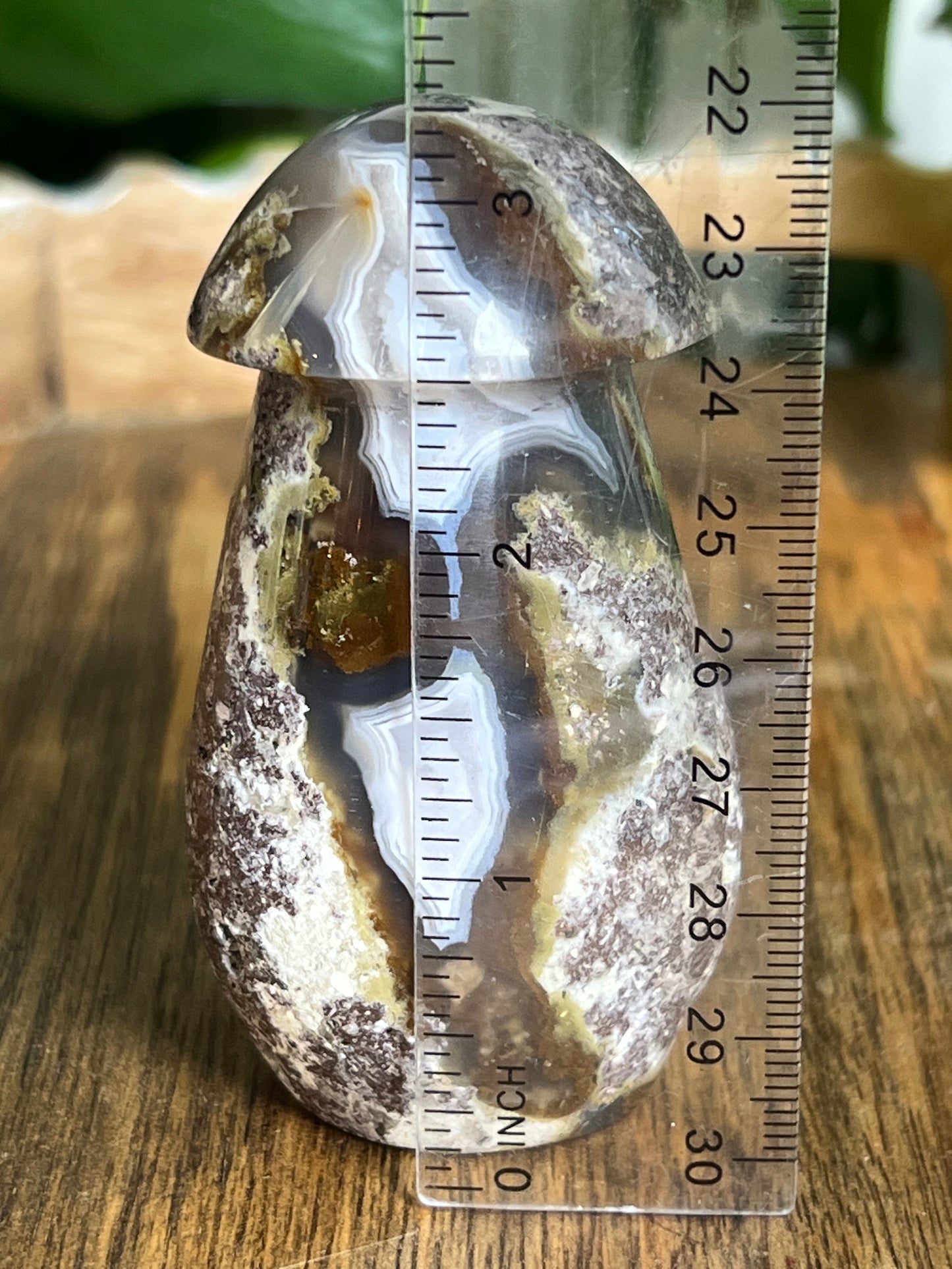 Scenic Moss Agate Mushroom