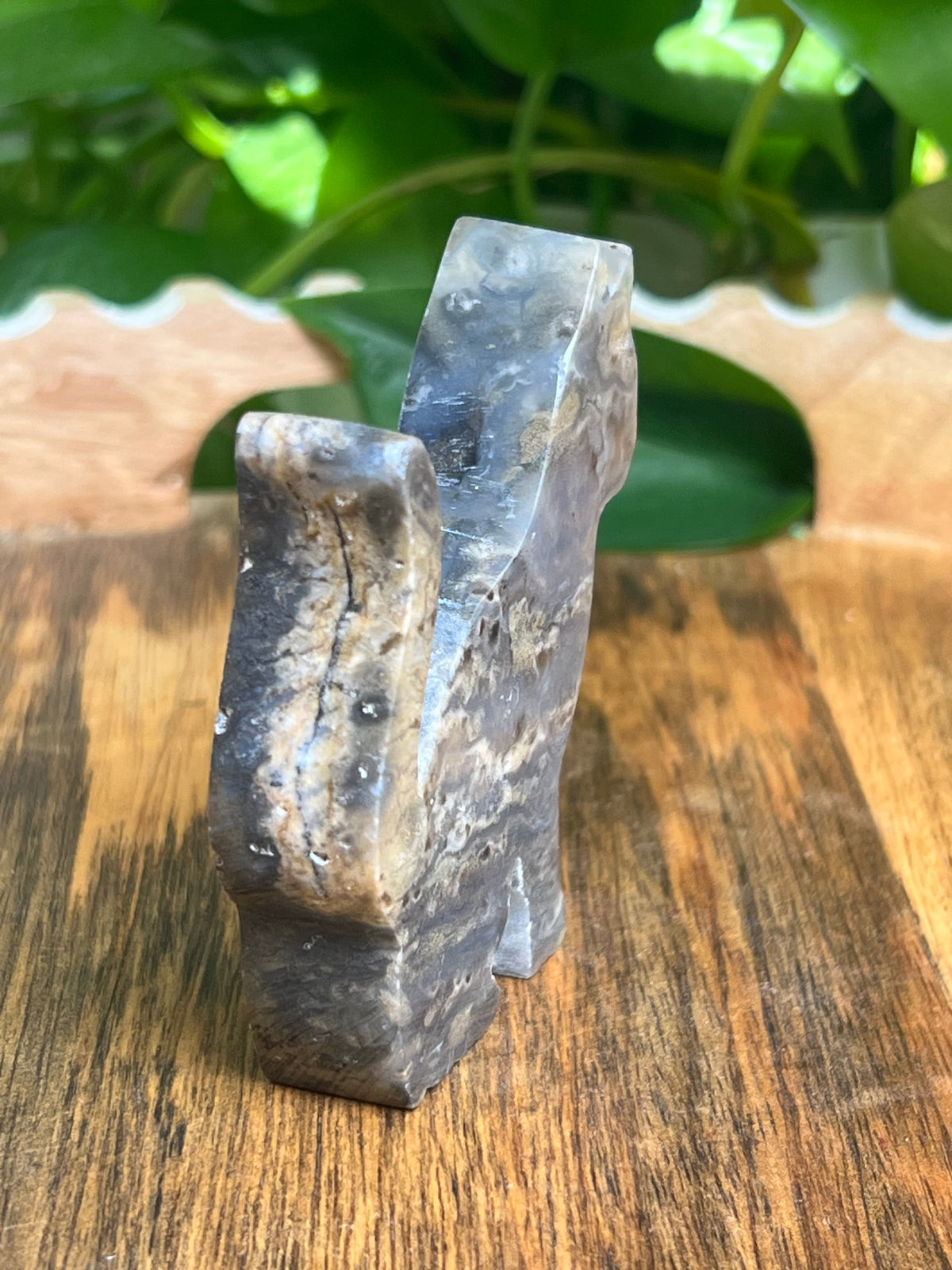 Dendritic Tiger Agate Cat: Qi