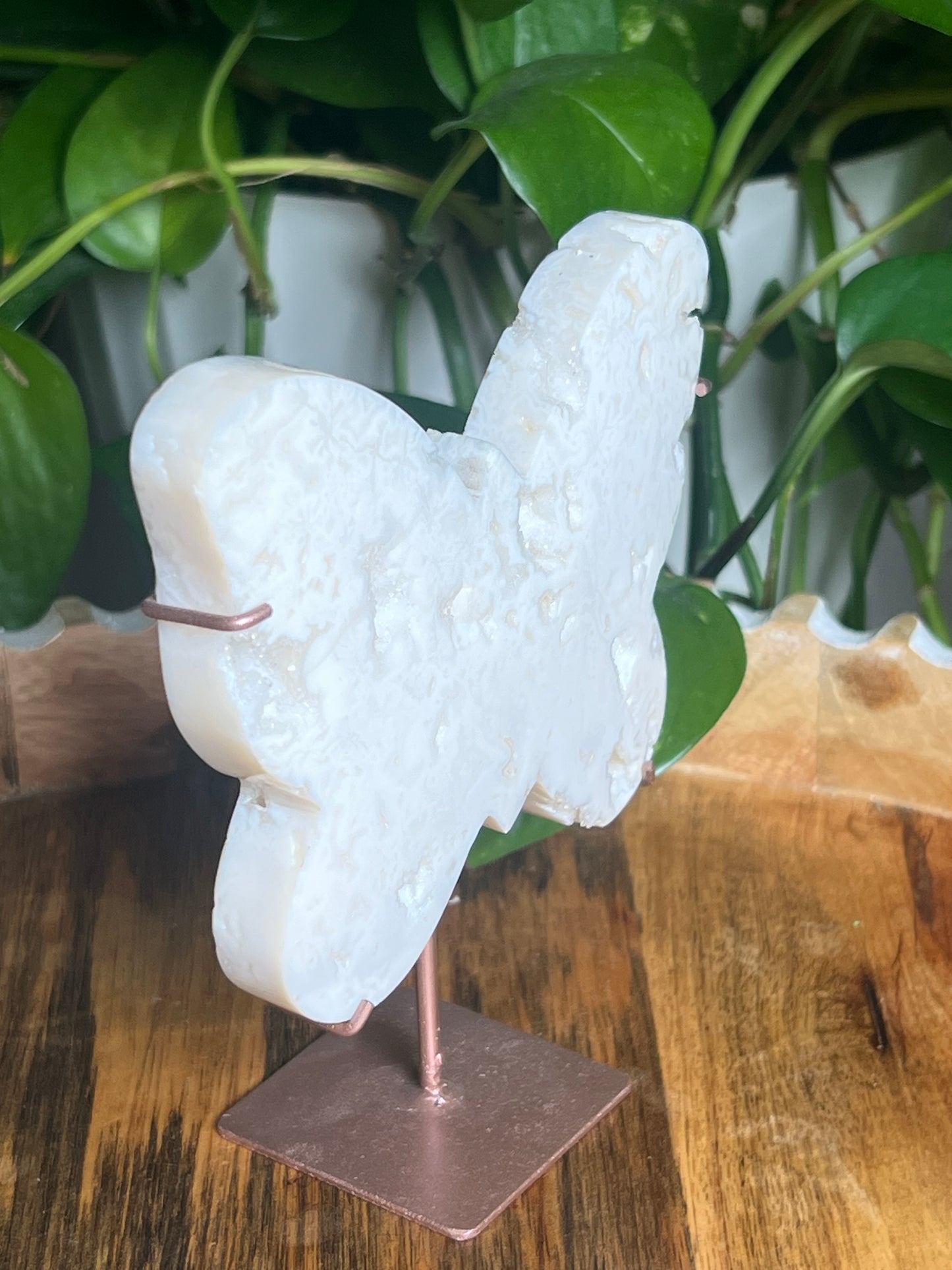 White Plume Agate Butterfly: NB
