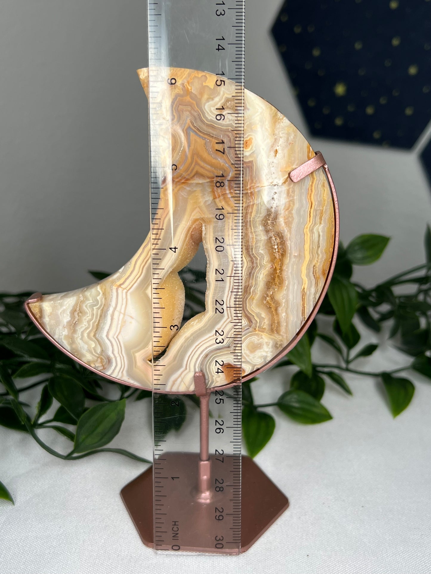 Yellow Crazy Lace Agate Moon