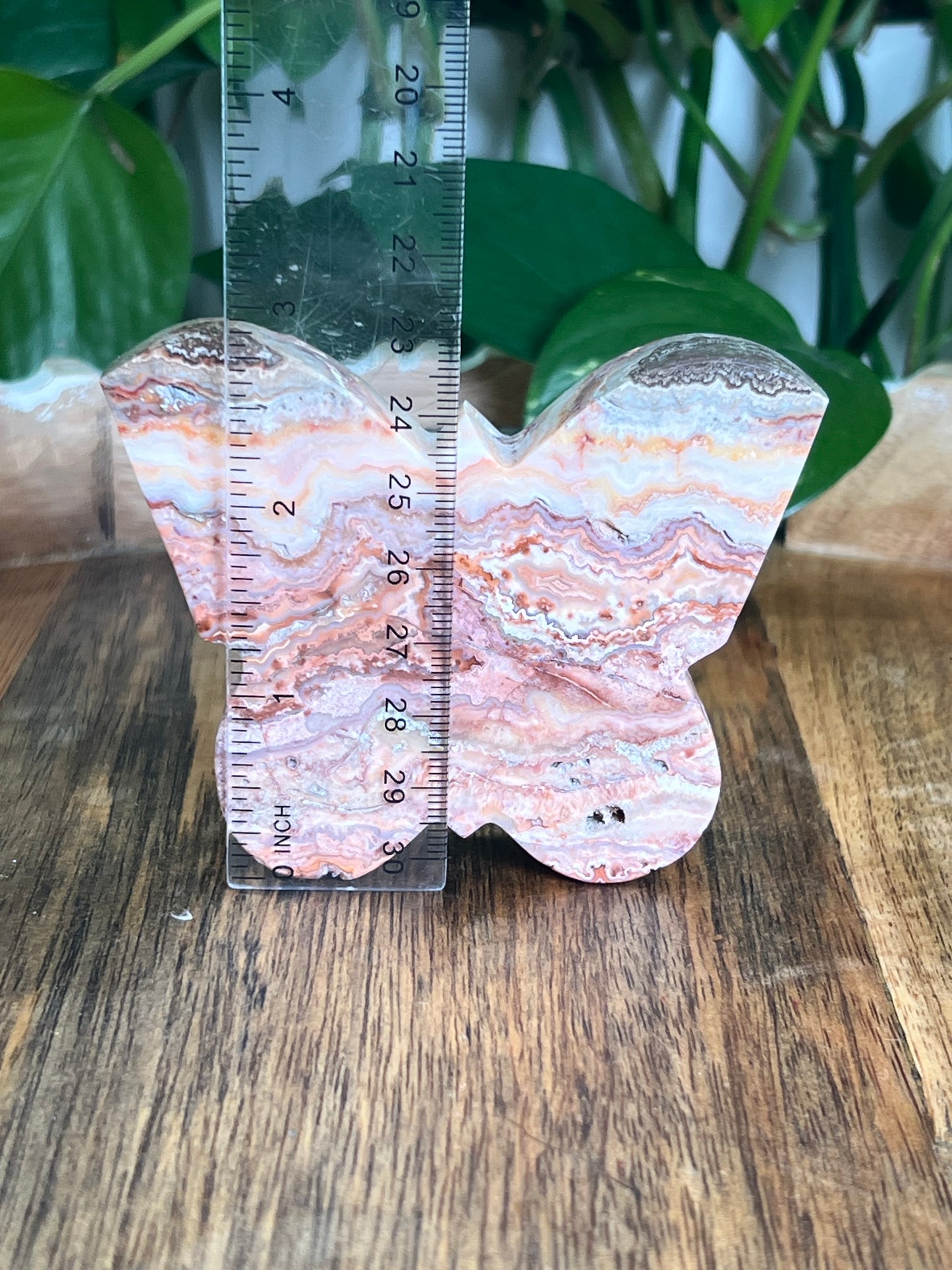 Crazy Lace Agate Butterfly: C