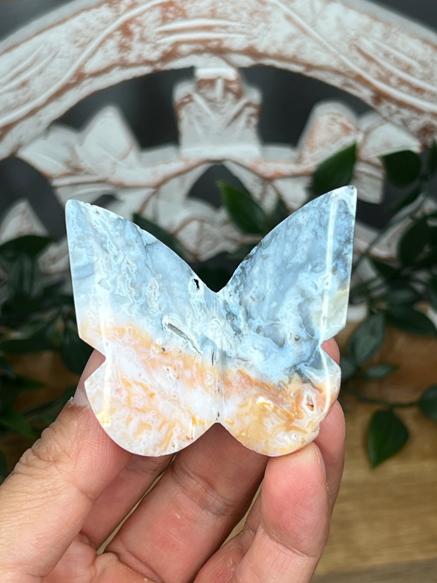 Rainbow Plume Agate 3D Butterfly