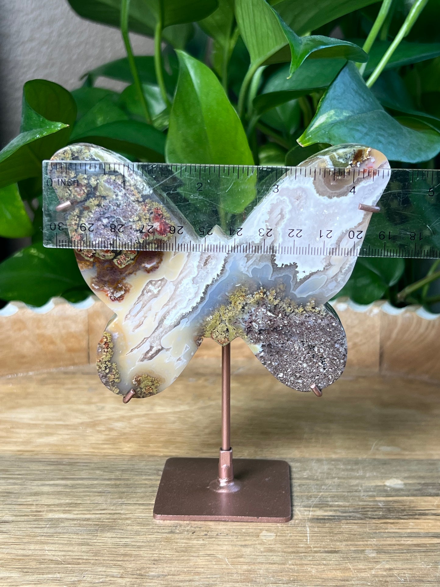 Scenic Moss Agate Butterfly