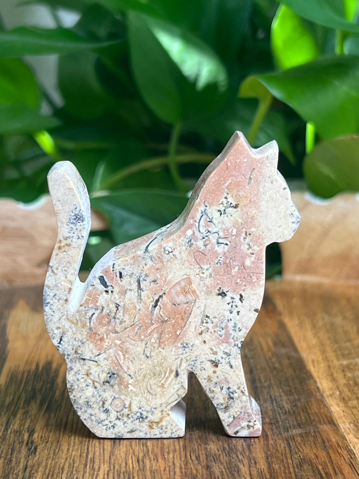Dendritic Jasper Cat: KC
