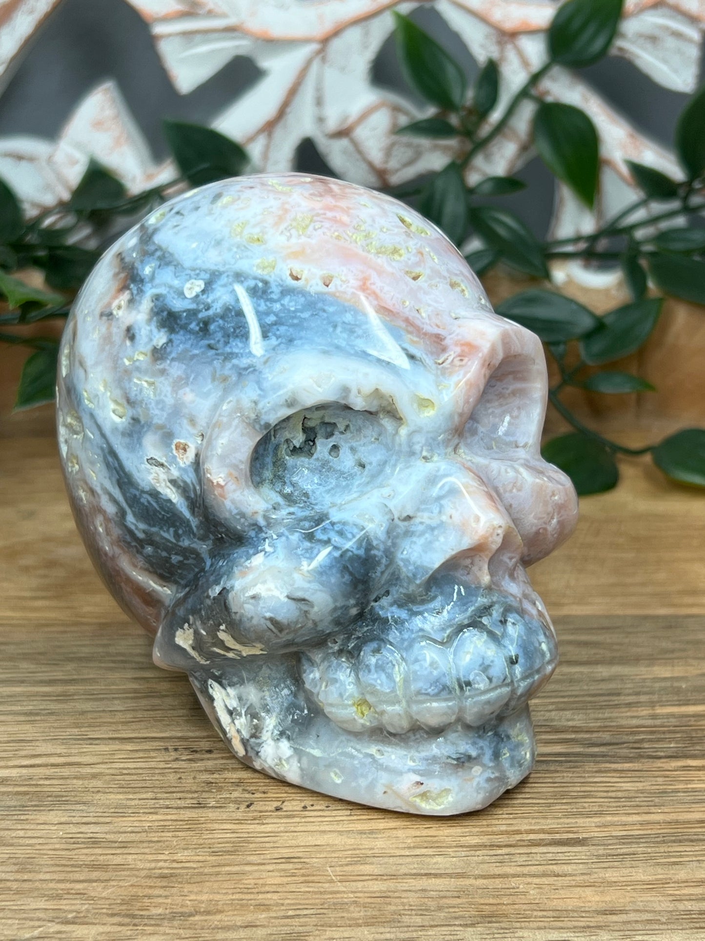 Rainbow Plume Agate Skull