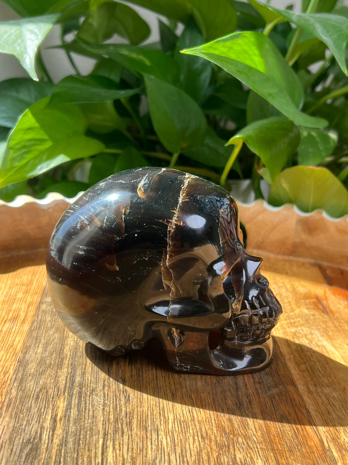 Blue Amber Skull: NB