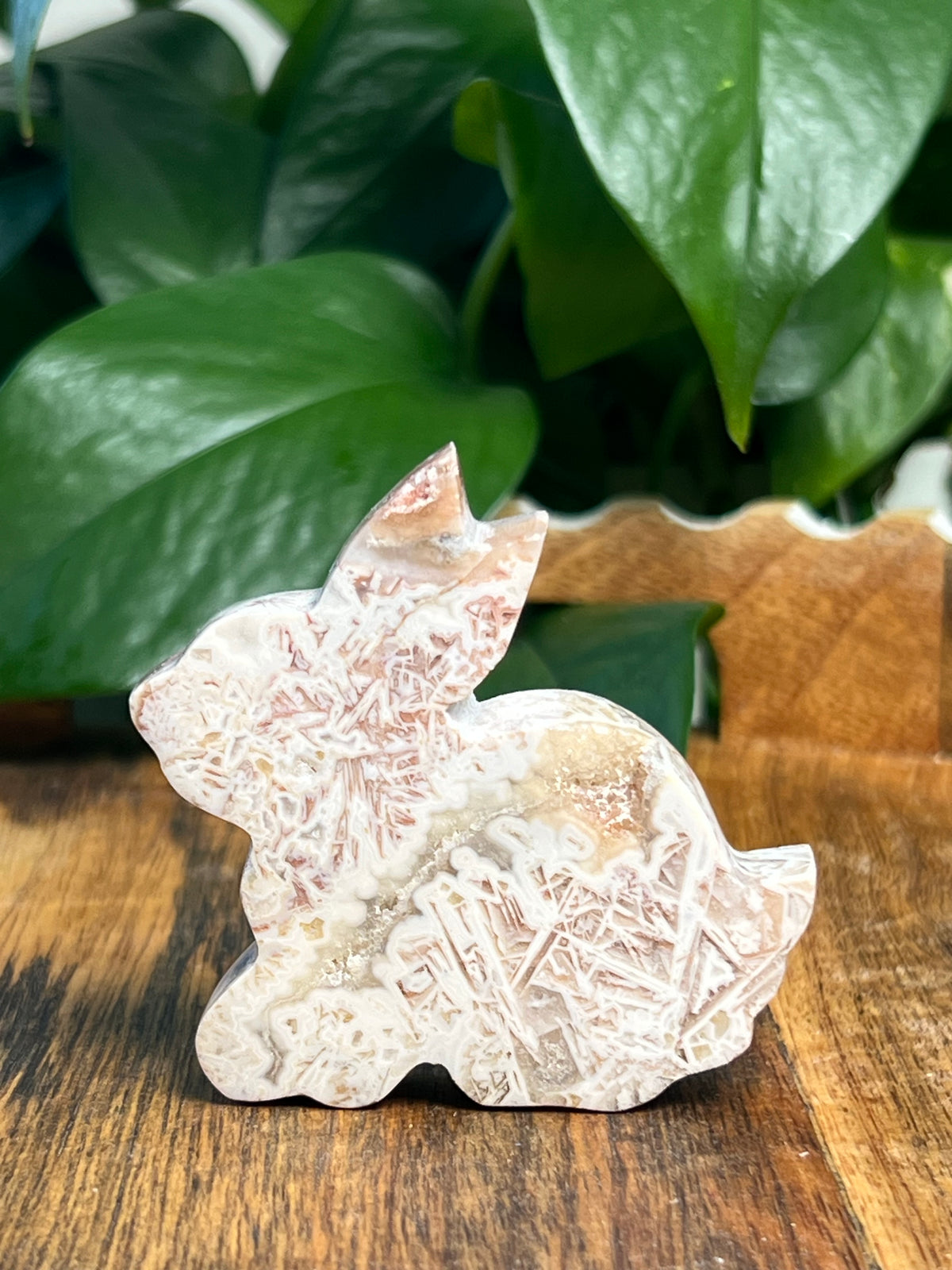 Tube Agate Bunnies