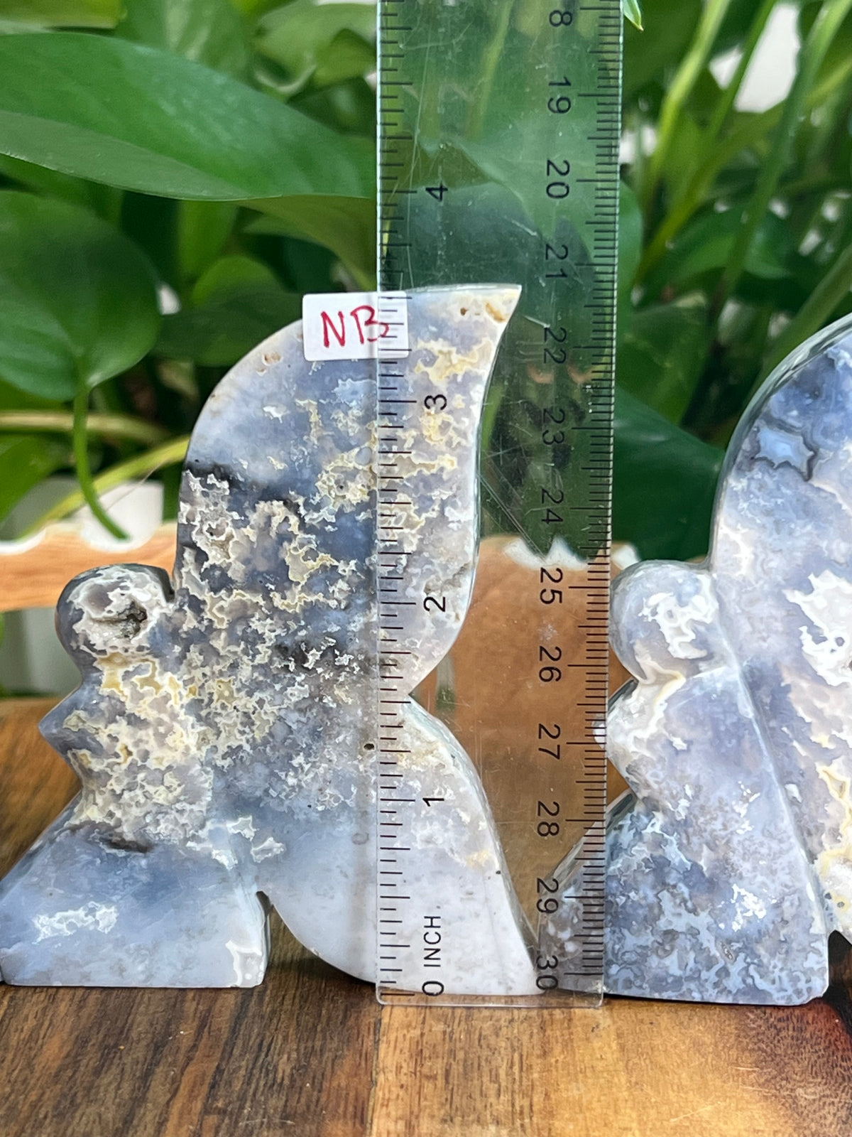 Blue Plume Agate Fairies