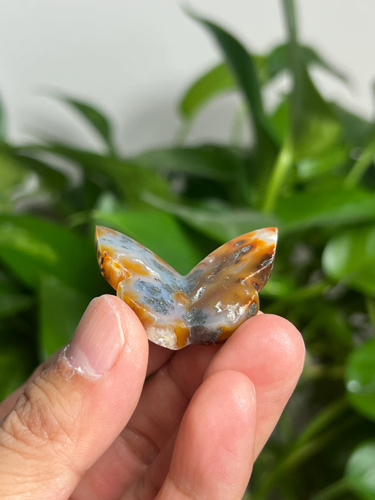Marcasite Mini 3D Butterfly: DP