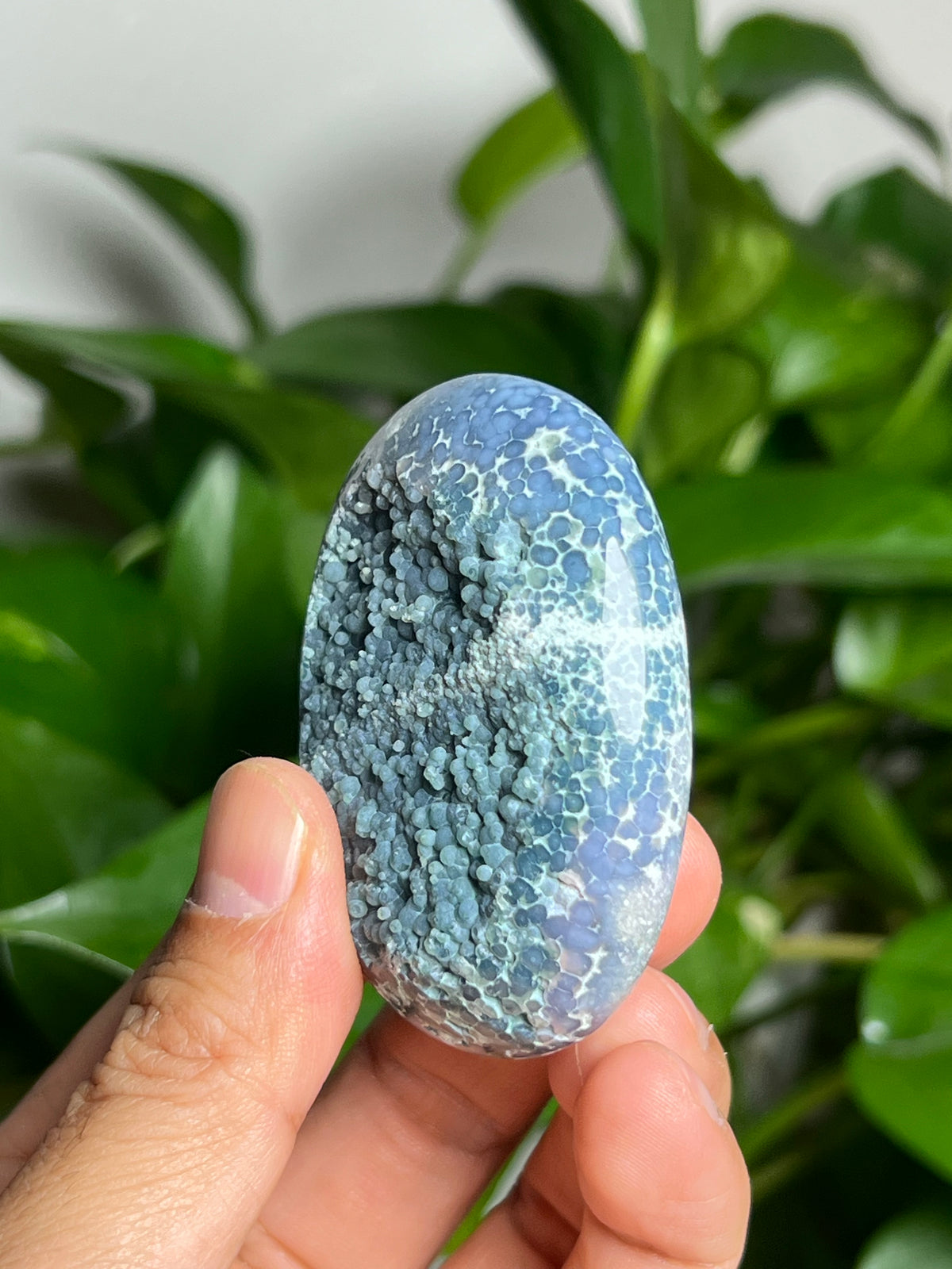Grape Agate Palmstone: TA