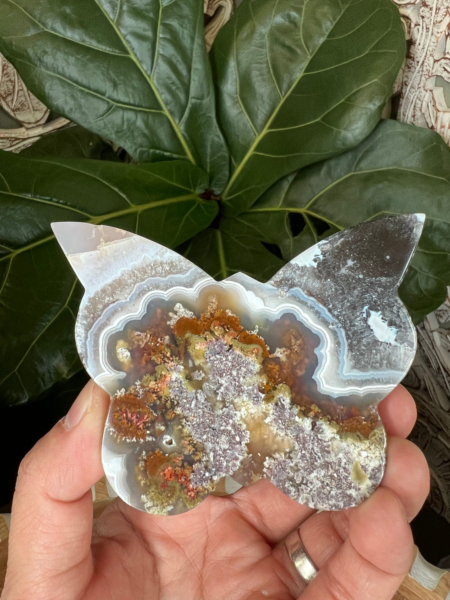 Scenic Moss Agate Butterfly
